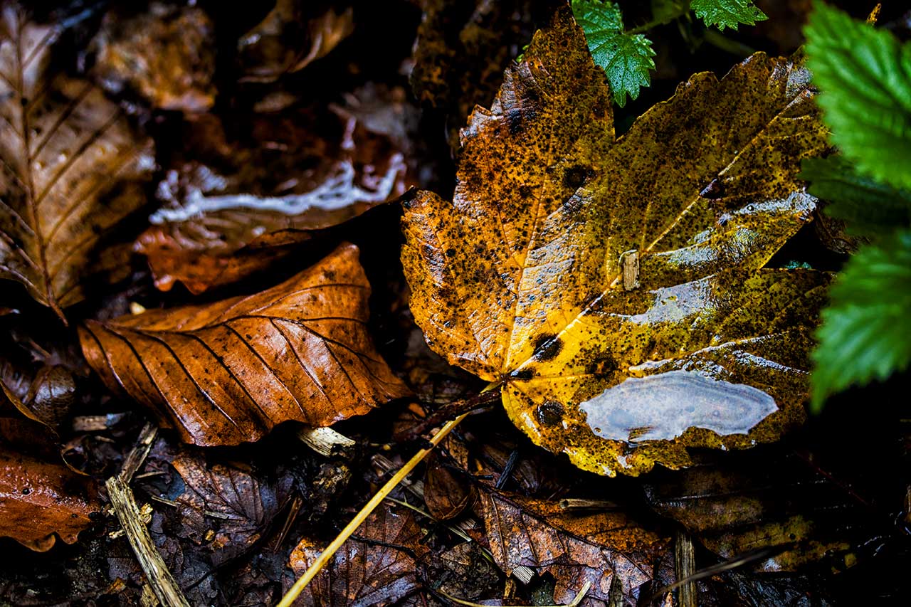 Majella National Park