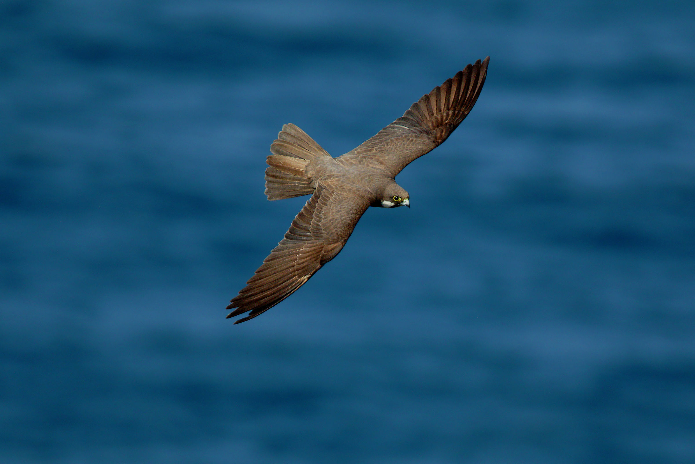 Where the sea is more blue...  2