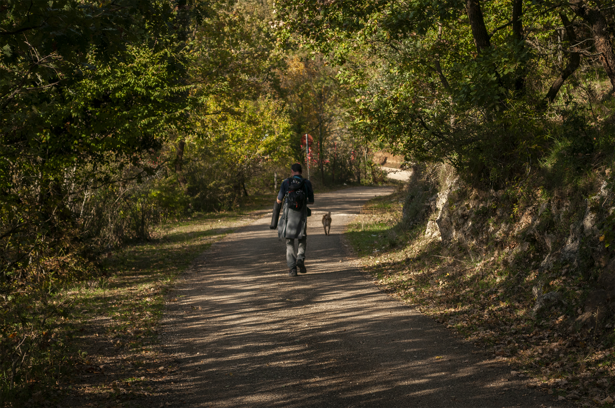Bosco di San Marco in Lamis