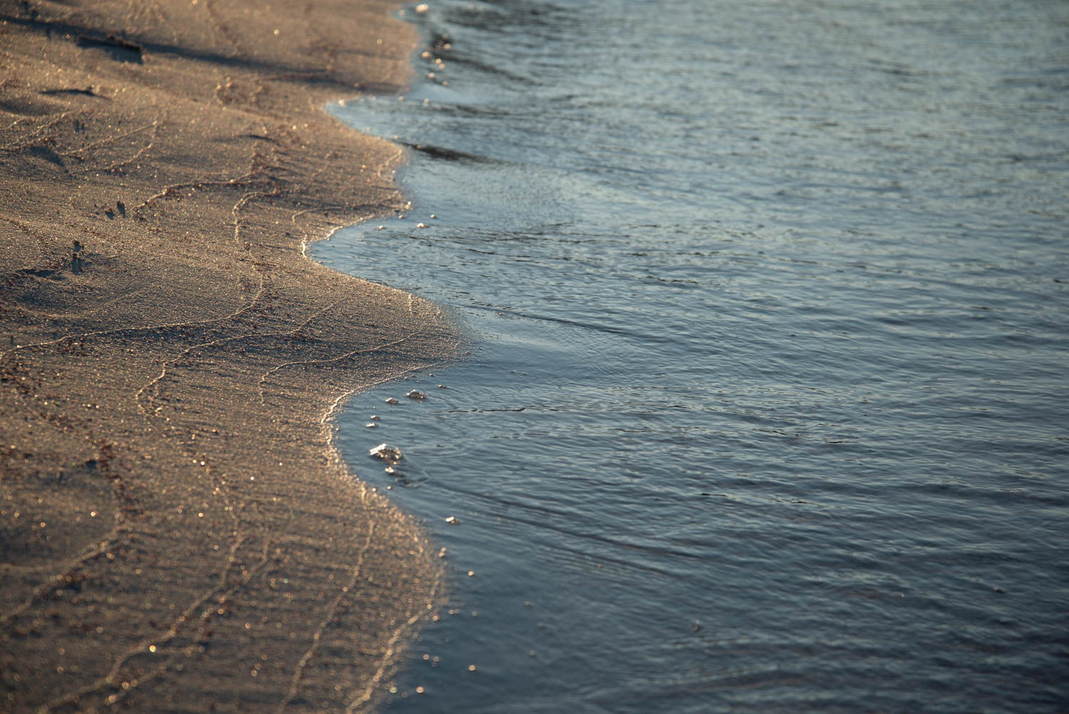 Oily water and glistening sand