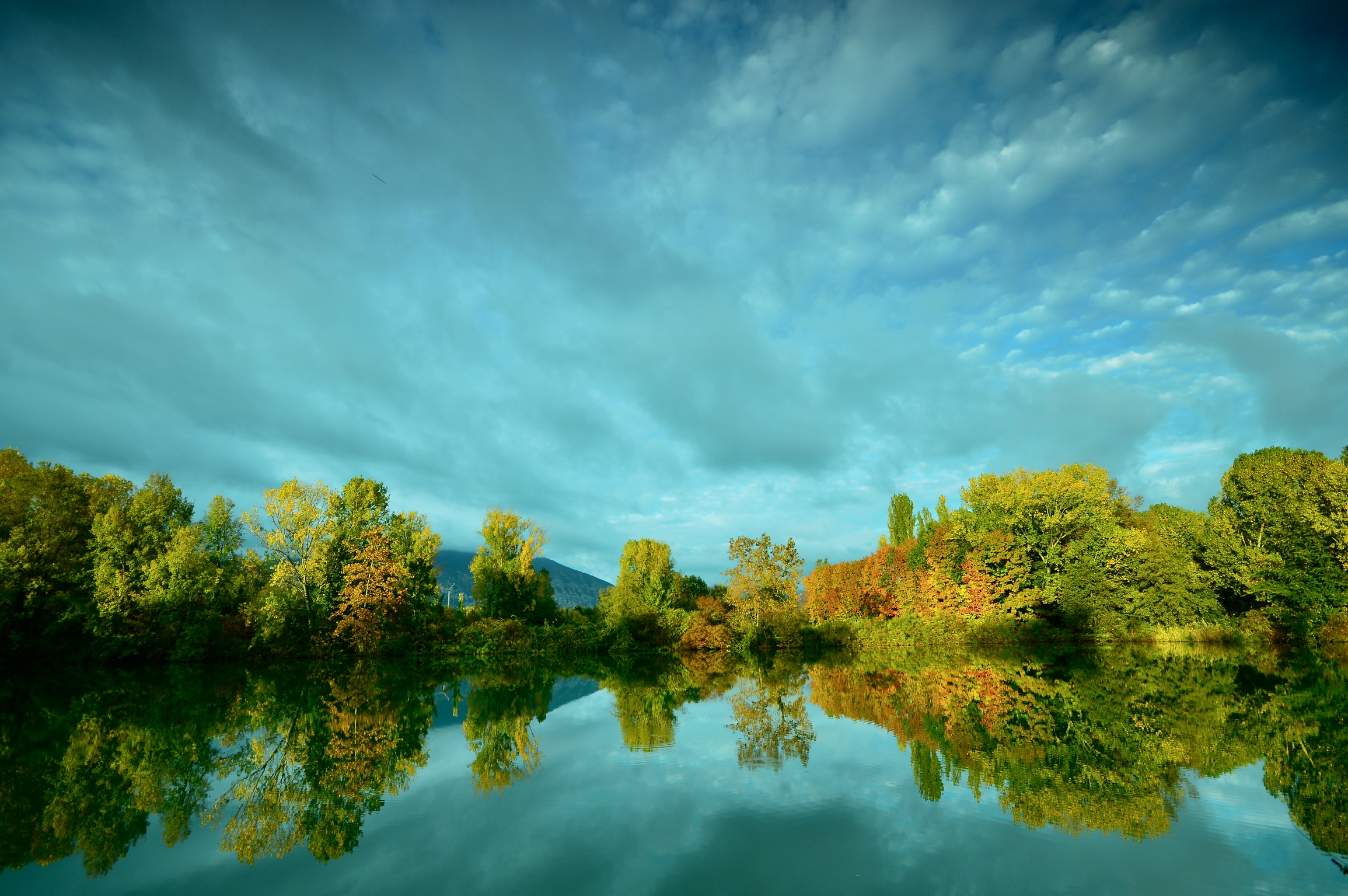 Walk in Peat bog (lake Iseo)