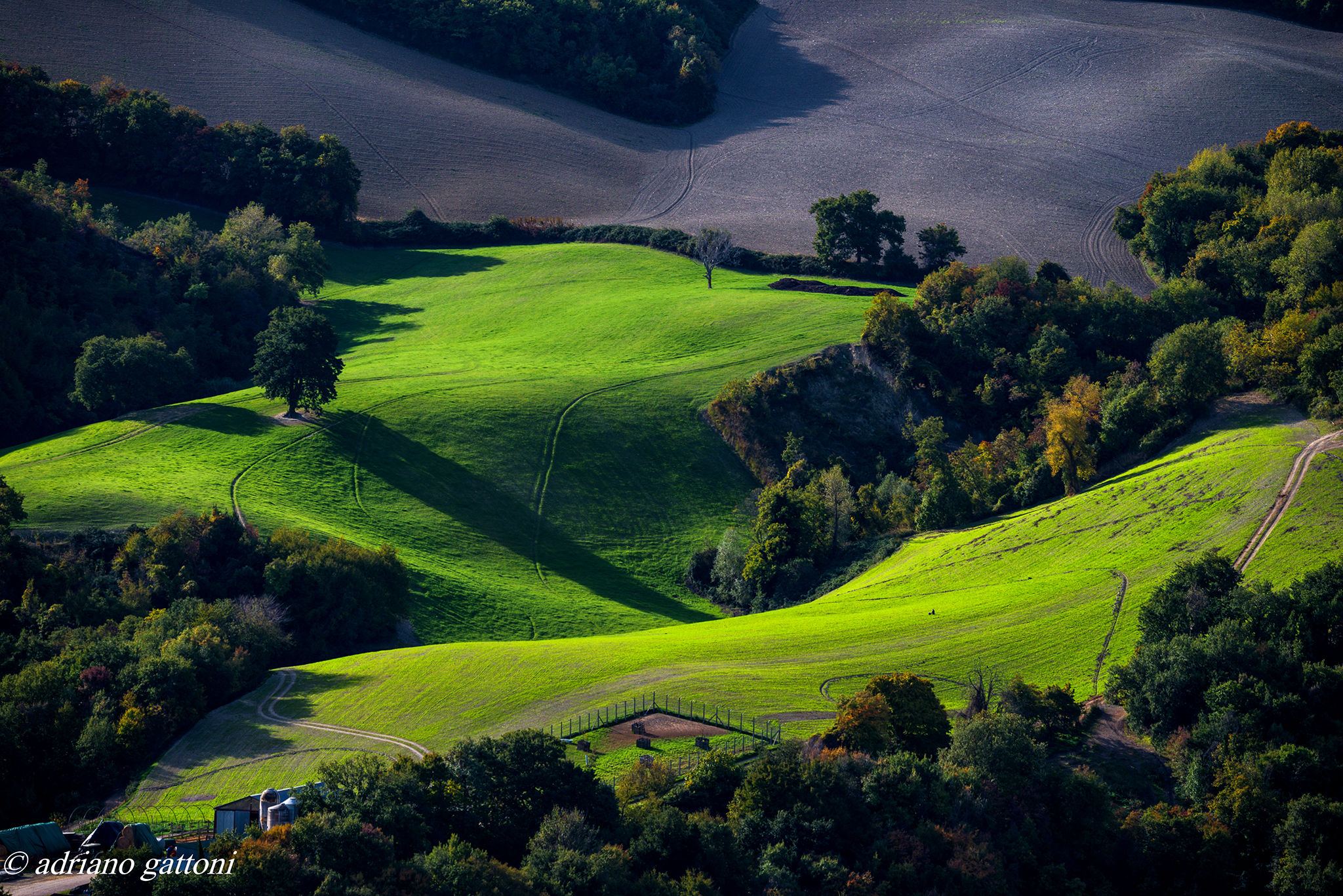 Luci ed ombre nelle colline pesaresi