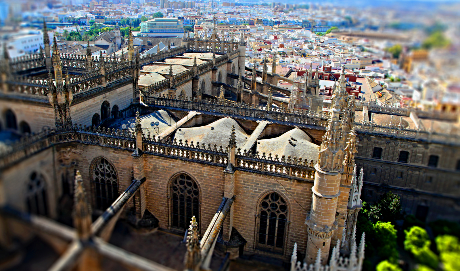 Cathedral of Sevilla