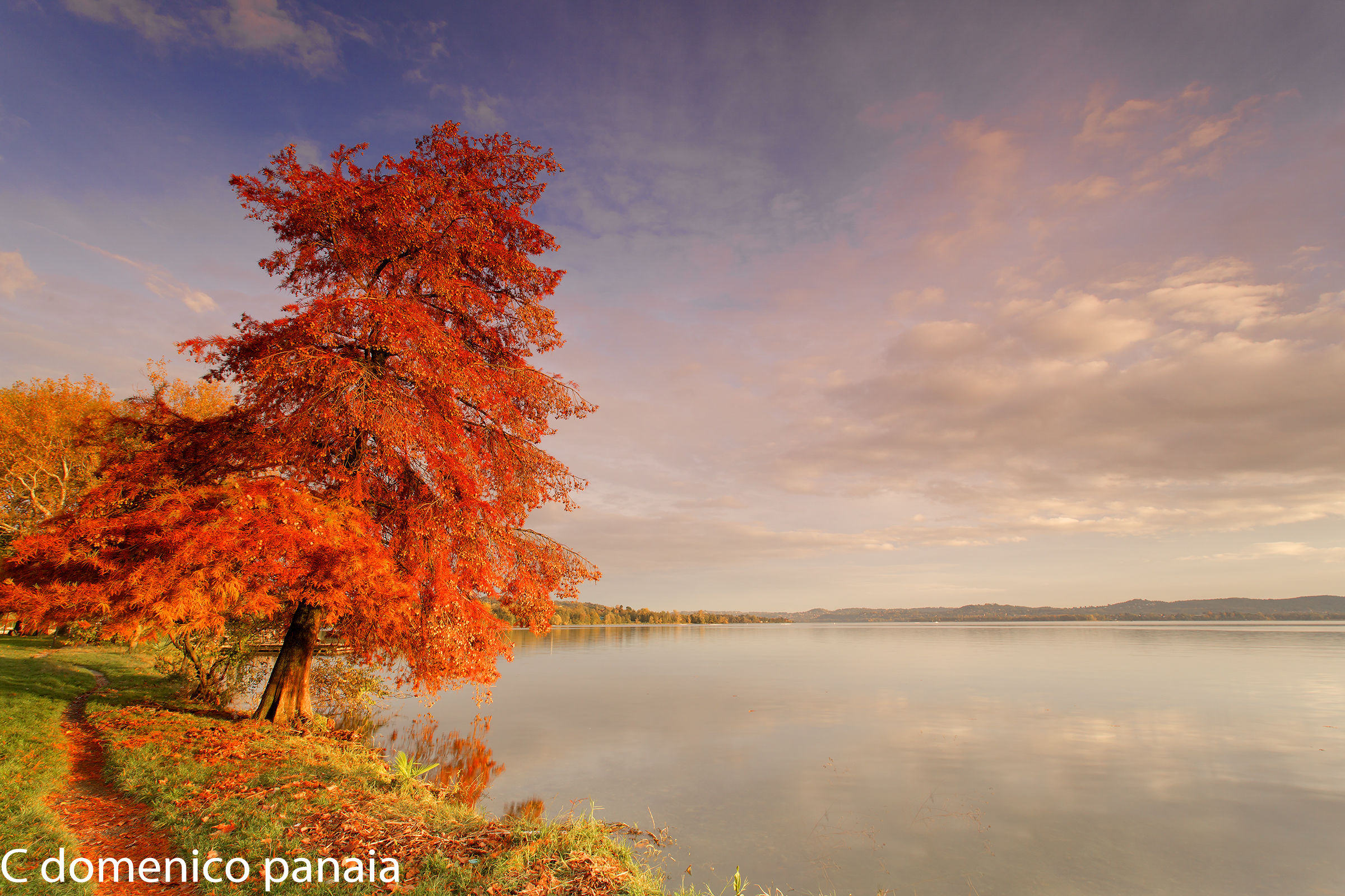 i colori dell'autunno