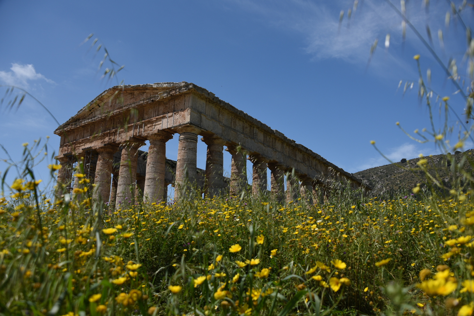 segesta