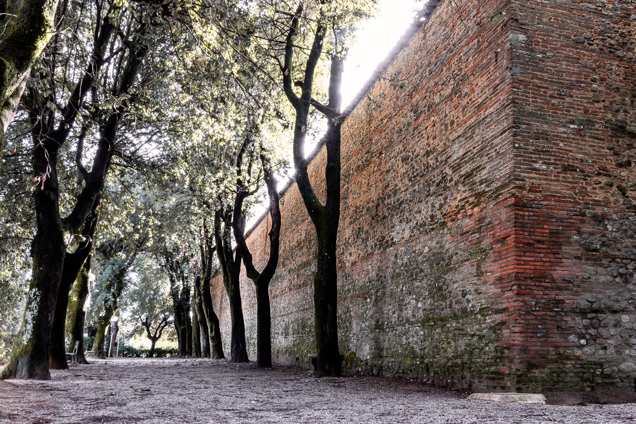 citta' della pieve mura convento