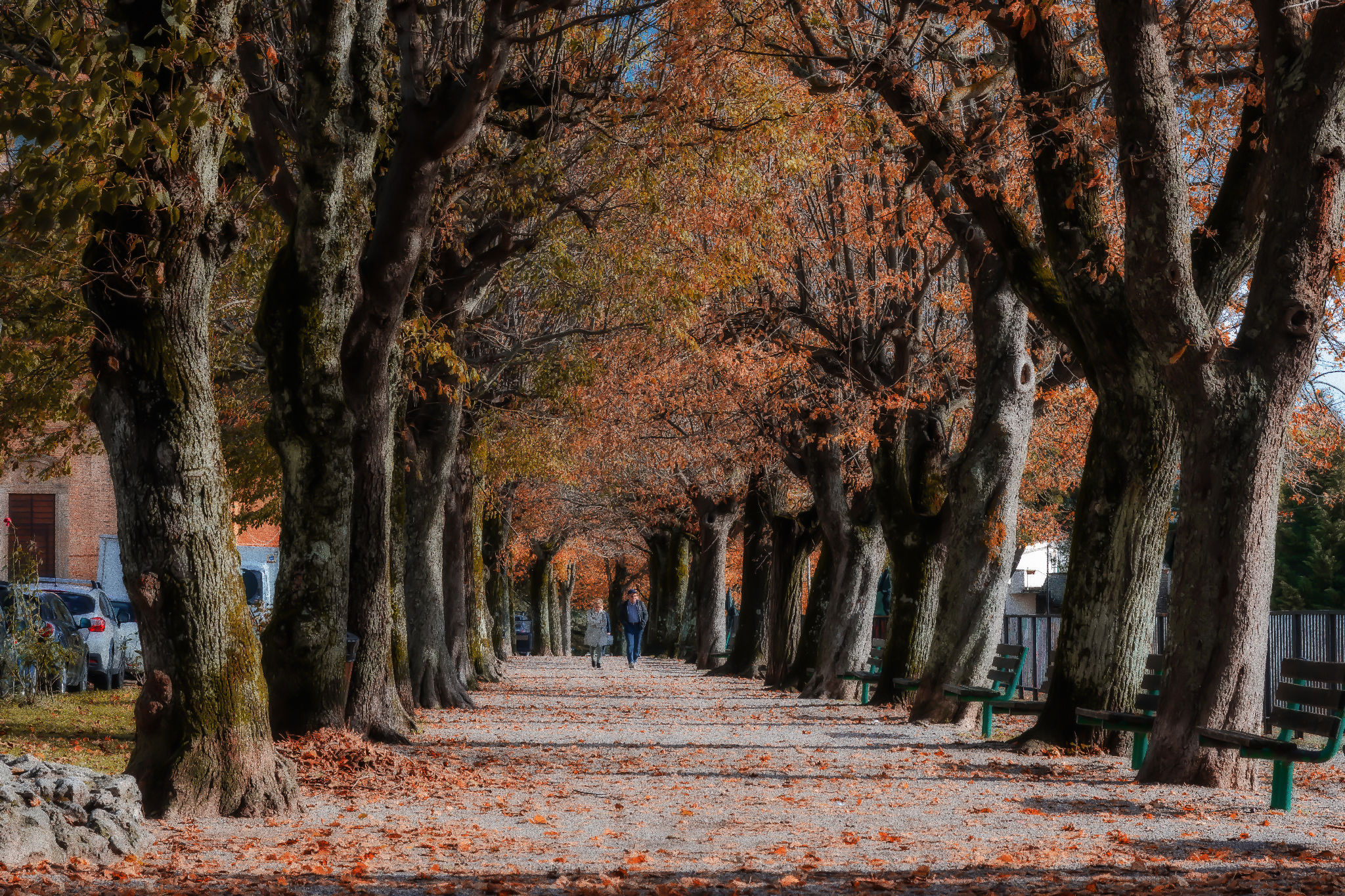 citta' della pieve viale