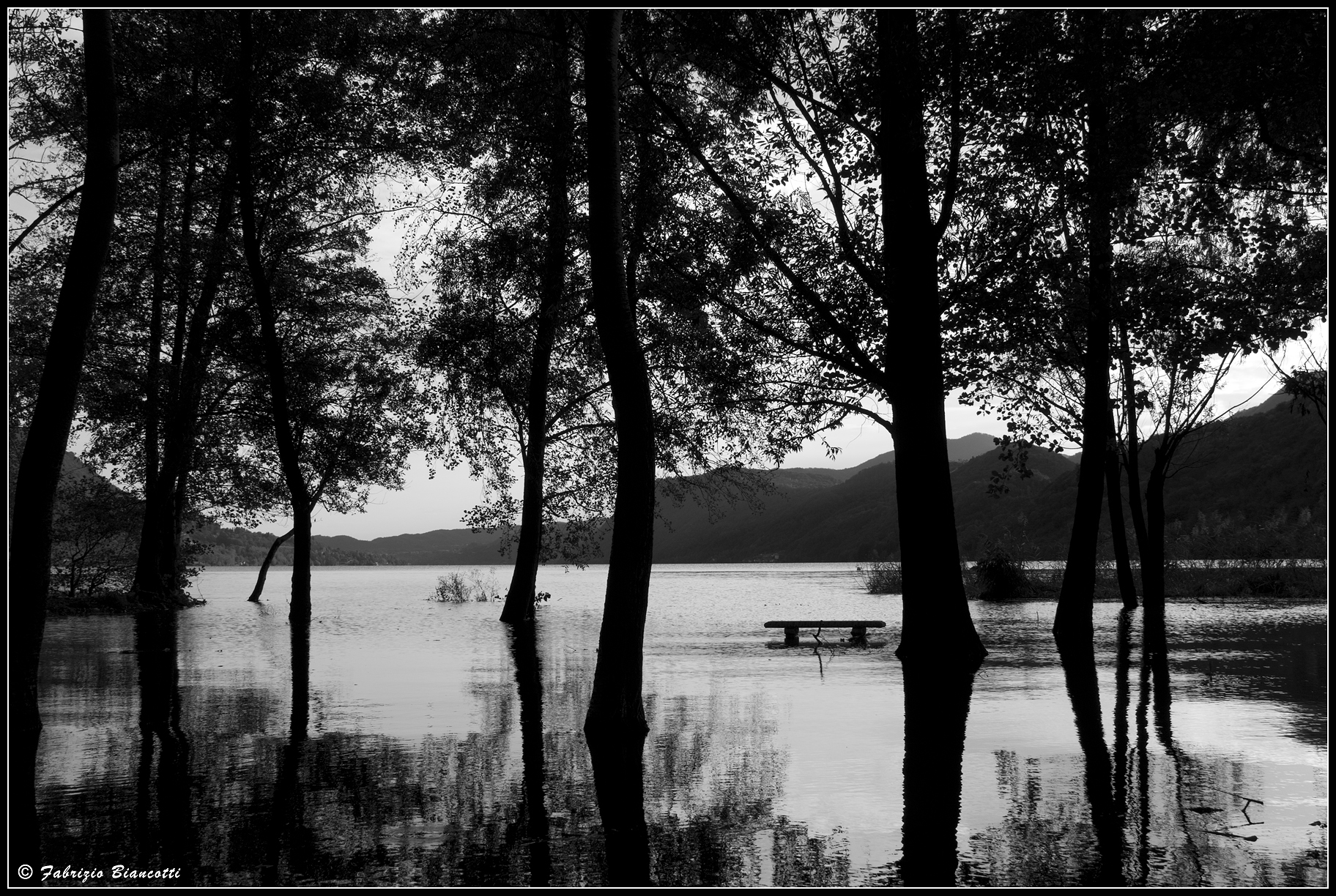 Slow slowly the lake advances...