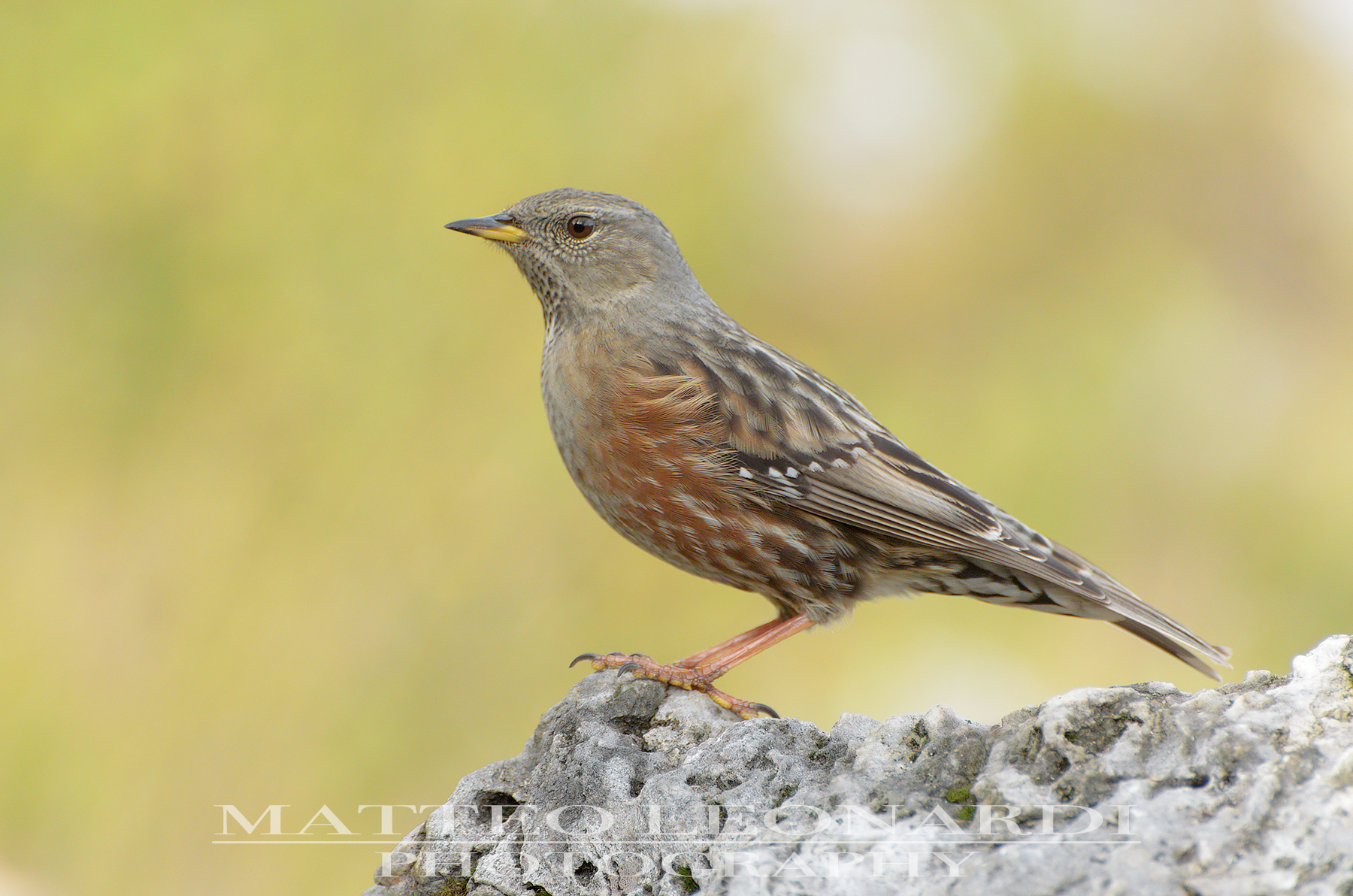 Sordone - Alpi Apuane