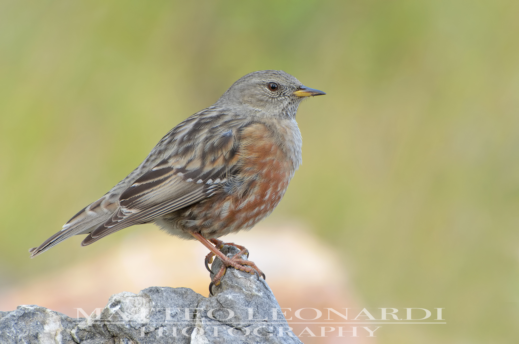 Sordone - Alpi Apuane