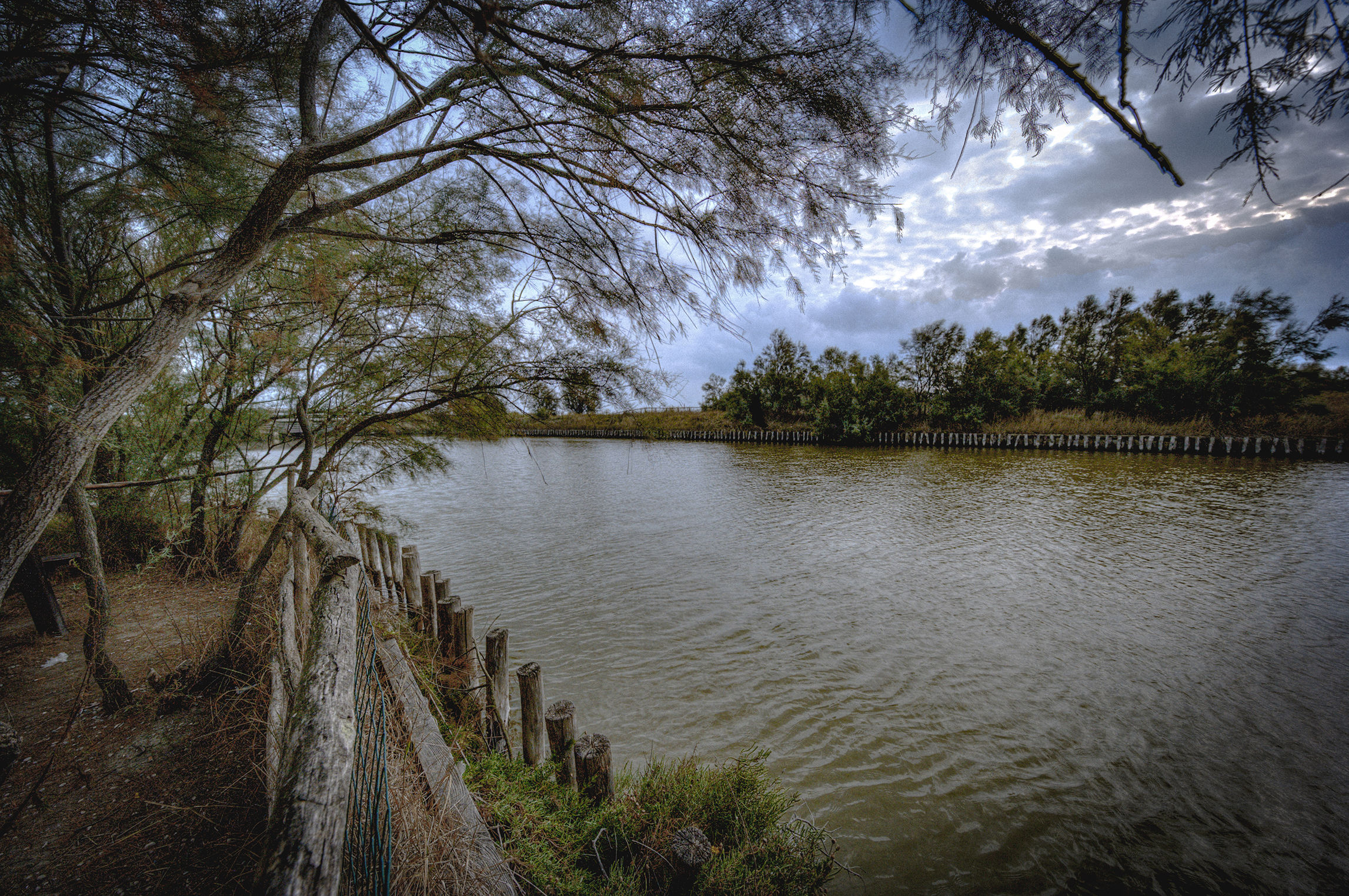Valli di Comacchio 2