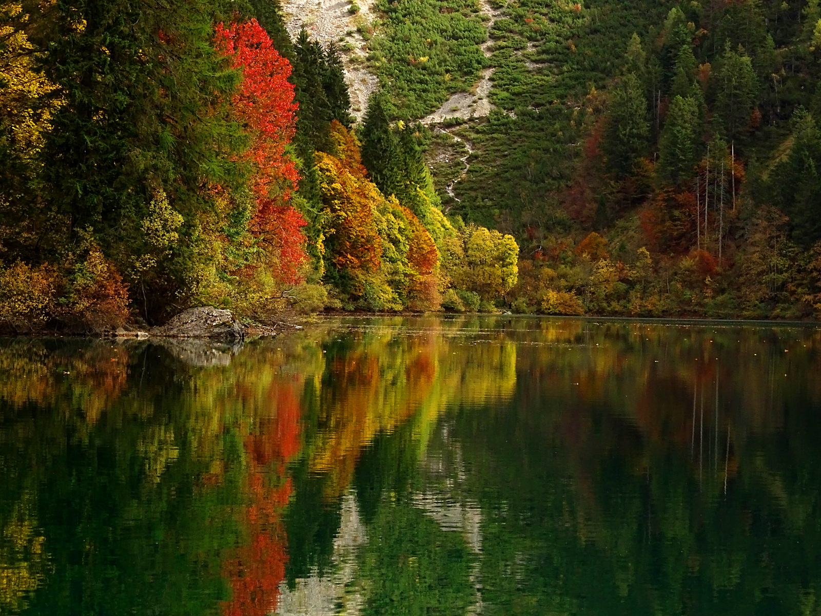 Riflessi nel lago di Tovel