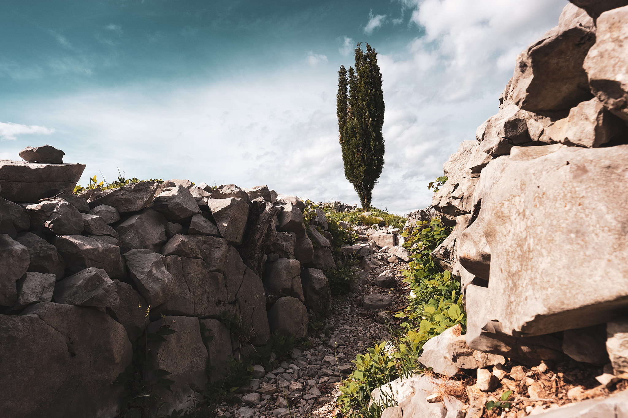 Trench on Mount San Michele.