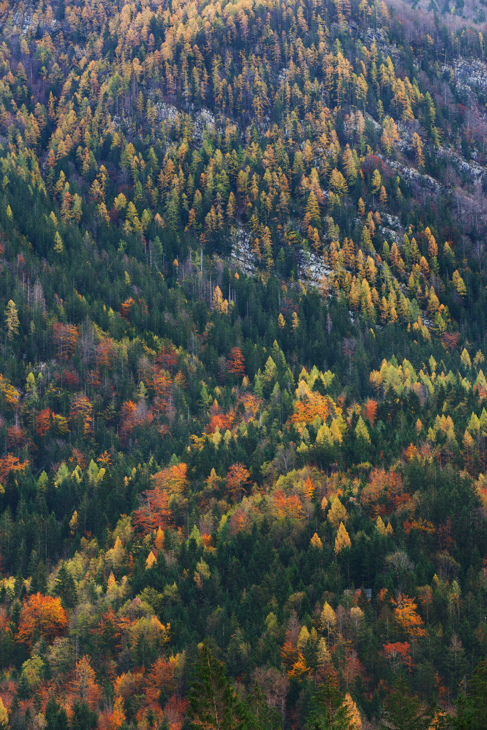 Val Trenta. Slovenia.