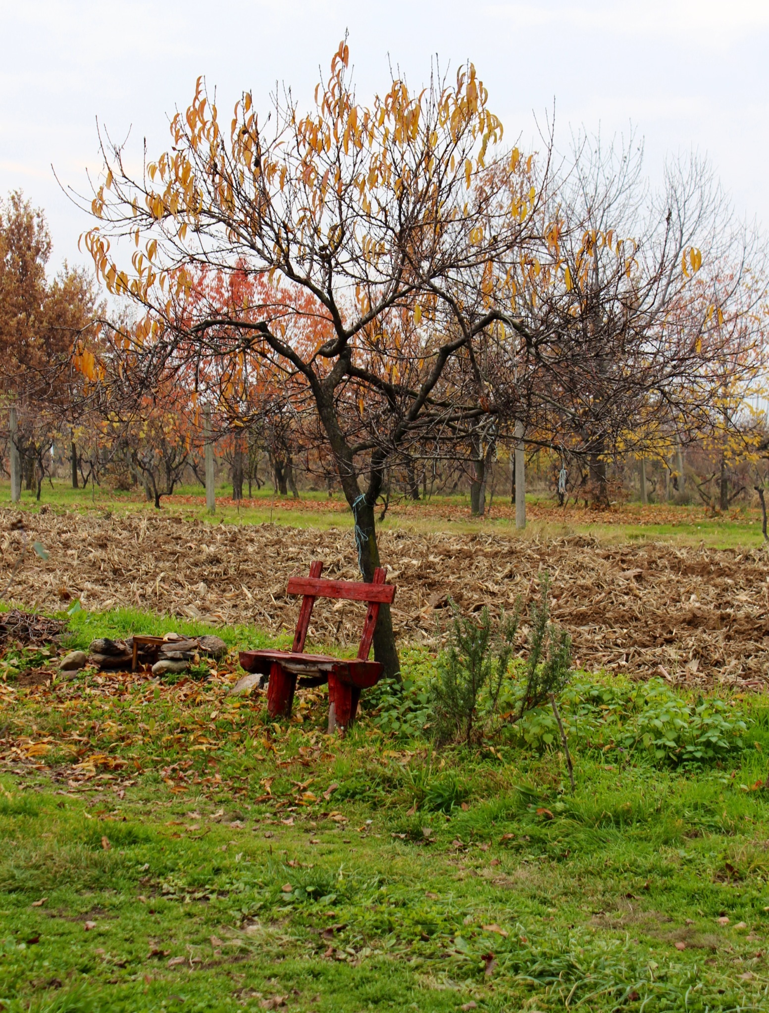 Un attimo che mi riposo...