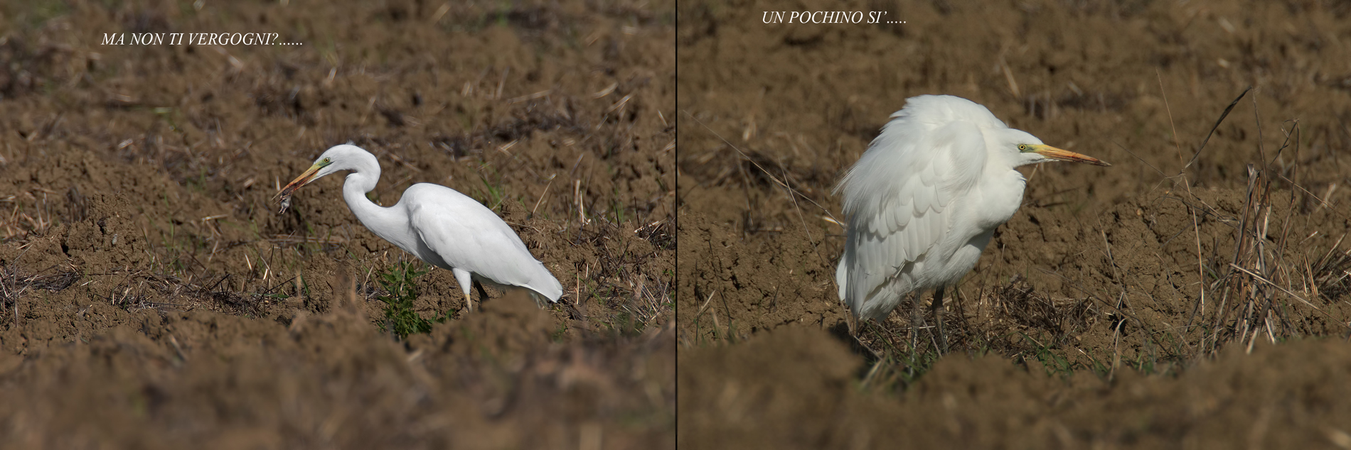 let's have a laugh .....