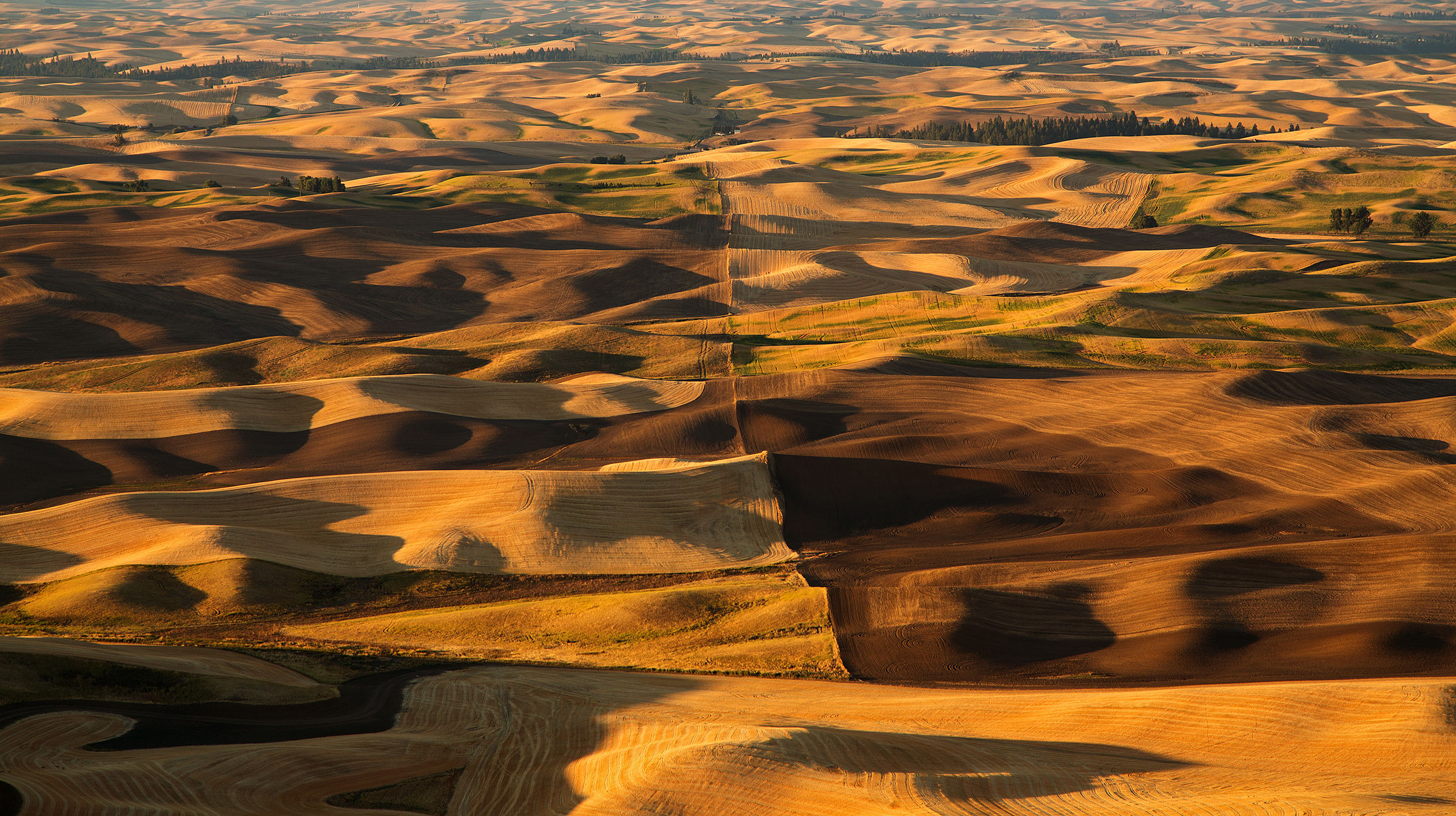 Sunrise @ Palouse country