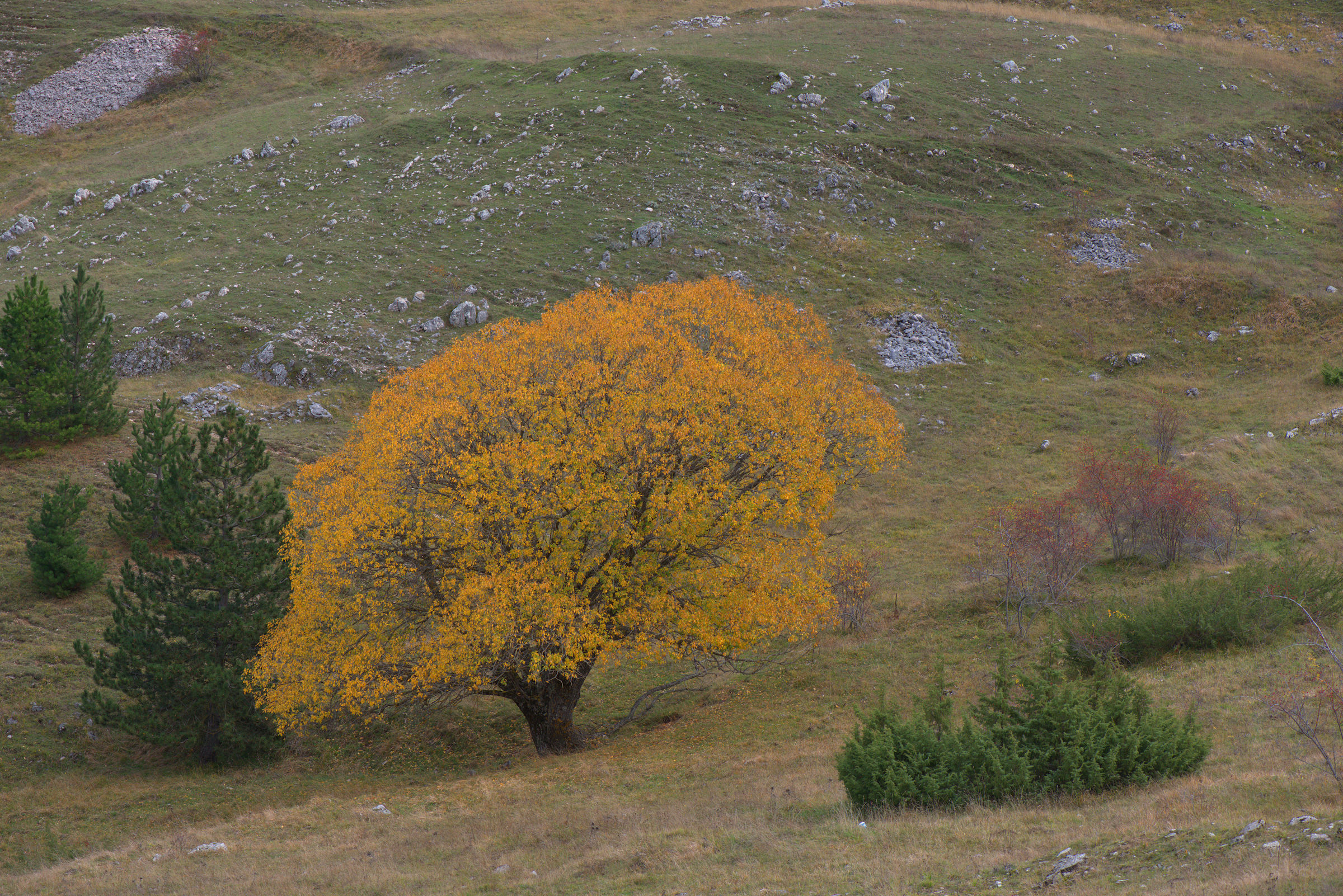 Parco del Gran Sasso e Monti della Laga