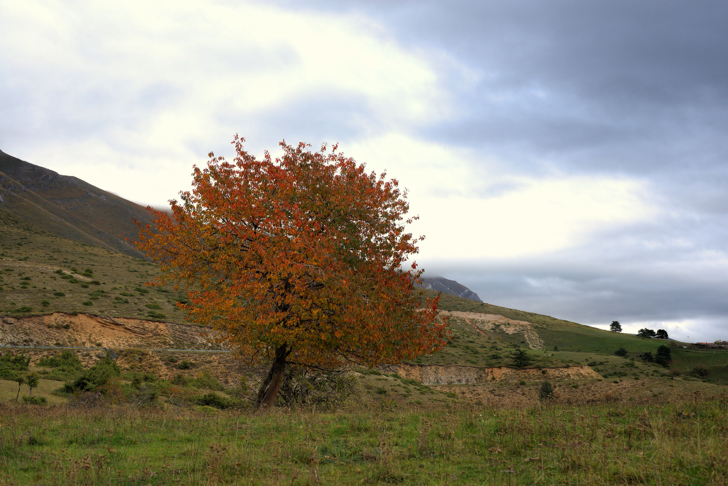 Gran Sasso and Monti della Laga Park