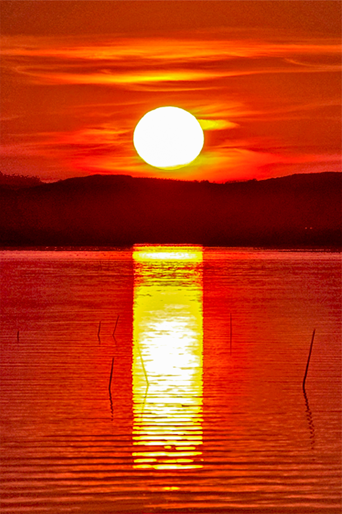 Painted Sunset-Trasimeno