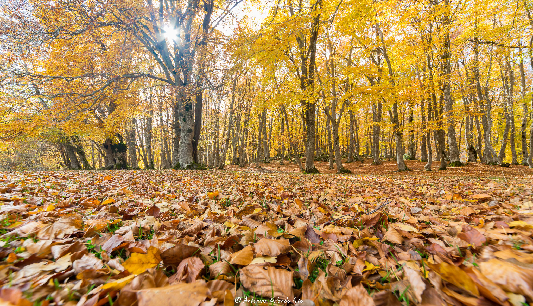 Tappeto croccante !!!