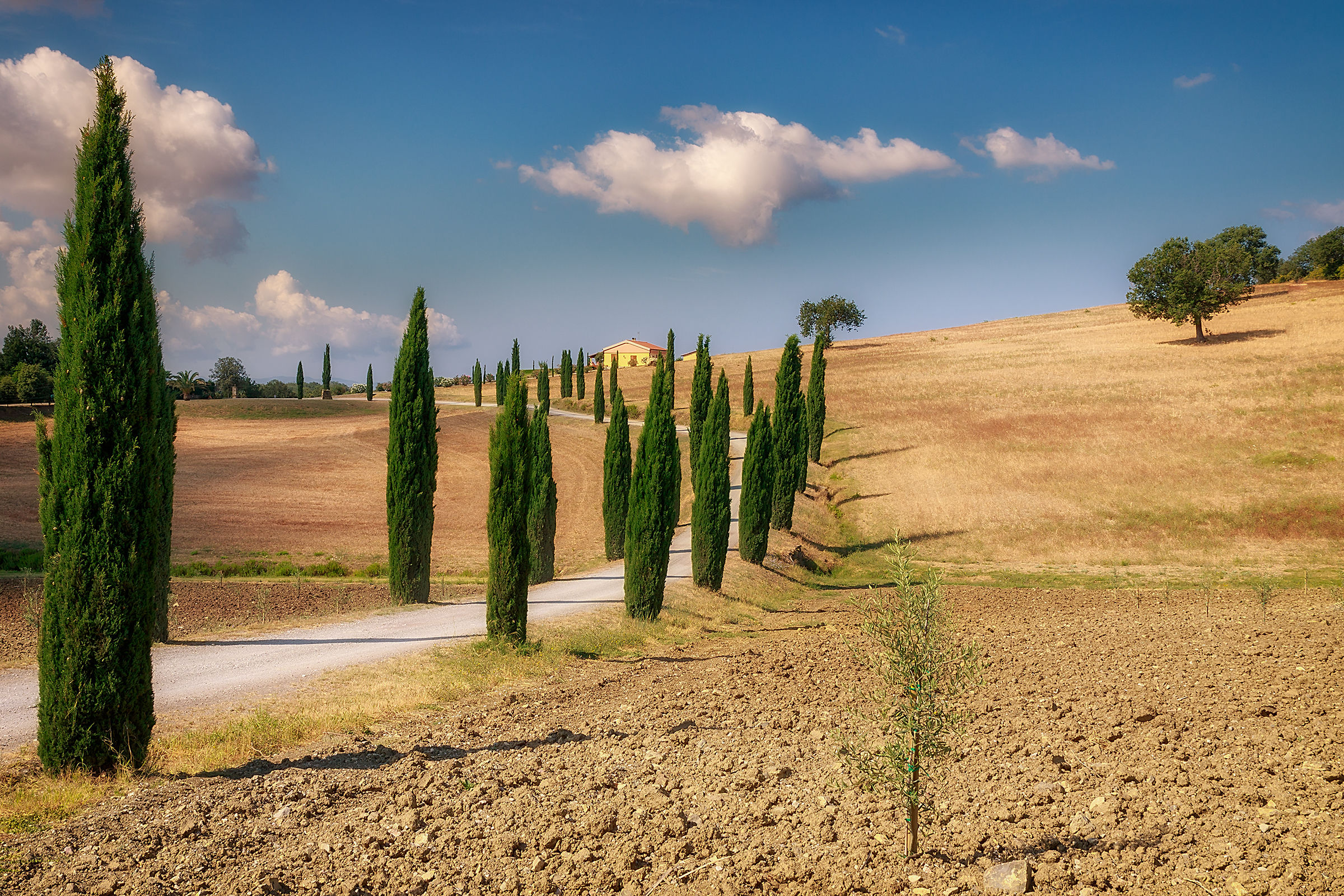 La campagna di Montiano