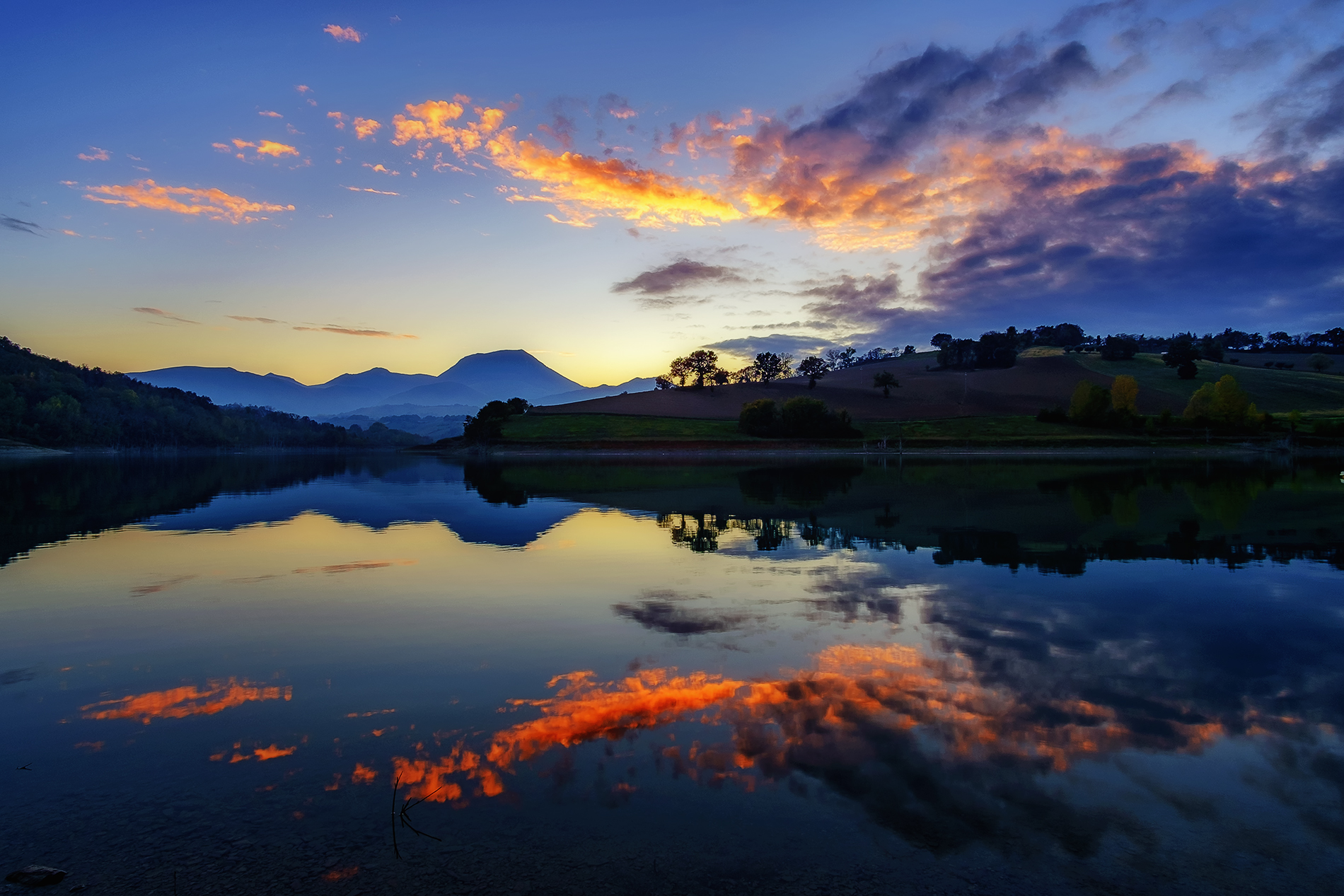 Specchio delle mie brame