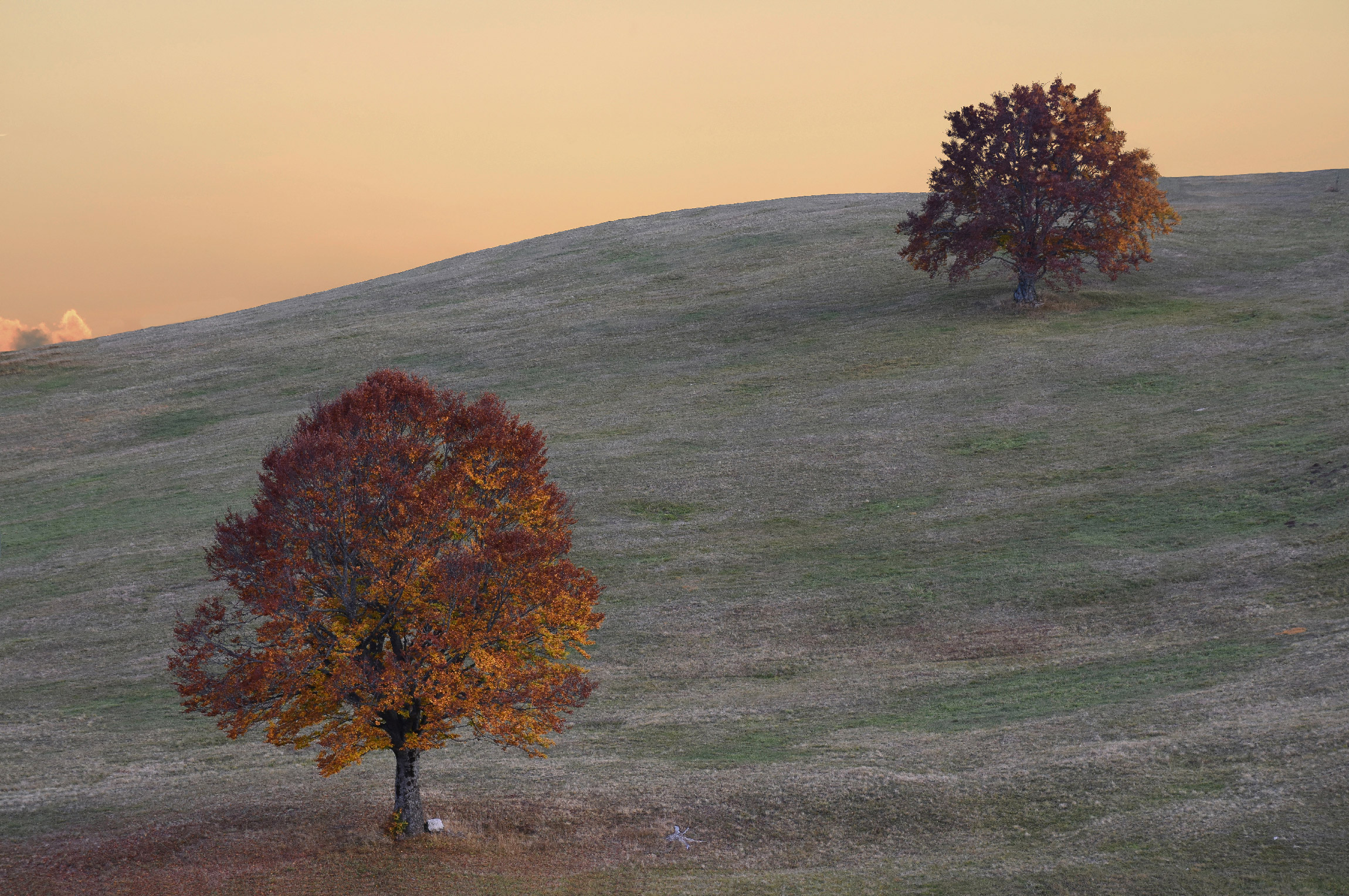 Percezioni d'autunno
