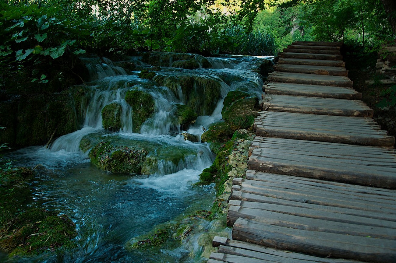 Passage in the Woods