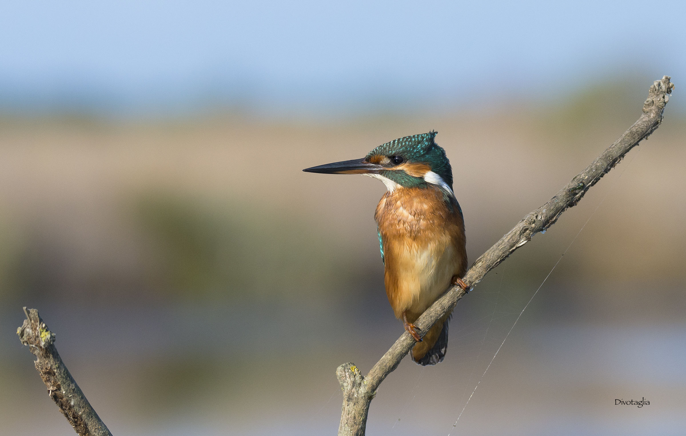 With the wind in the stern