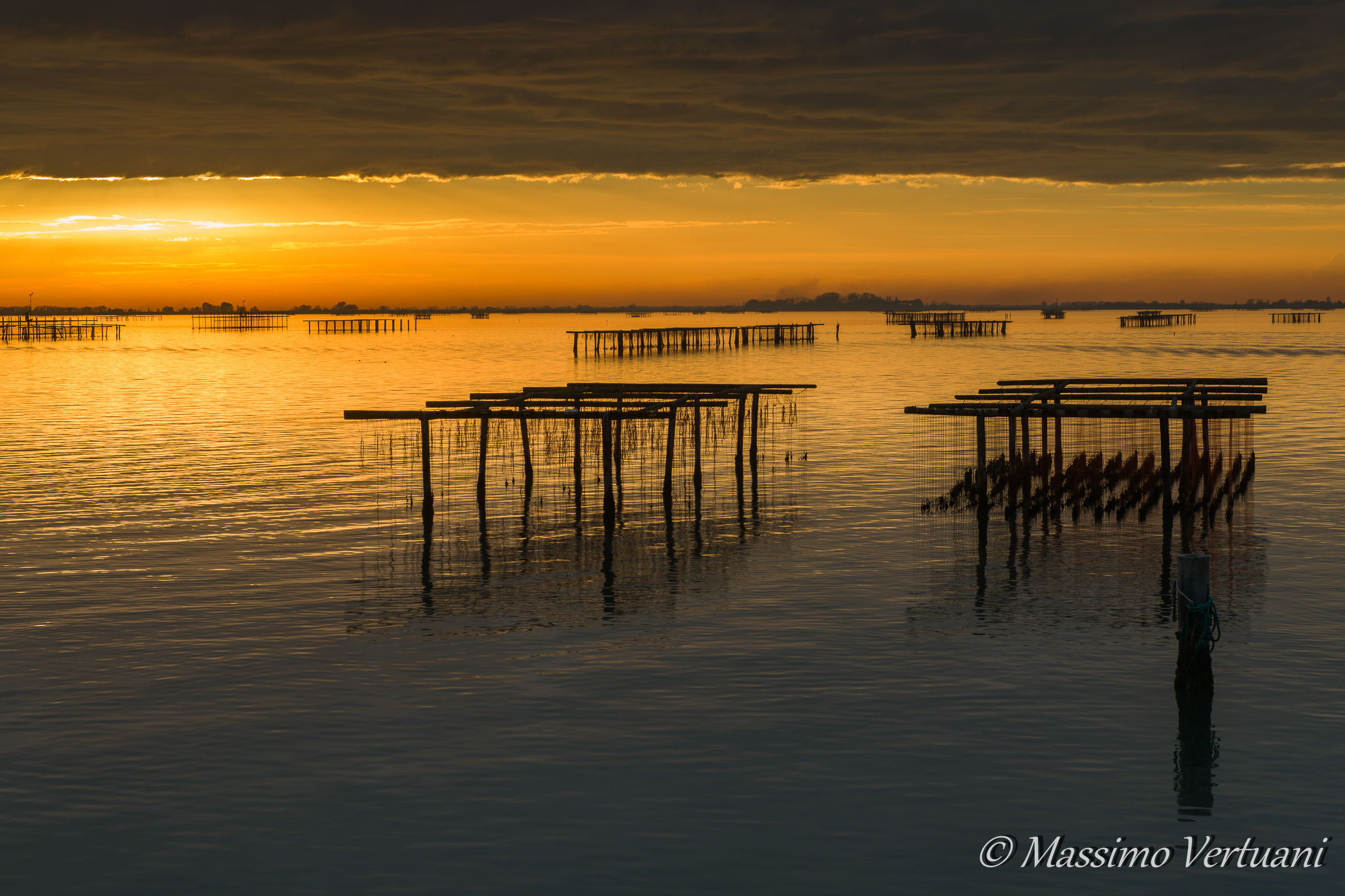 Allevamento di Cozze