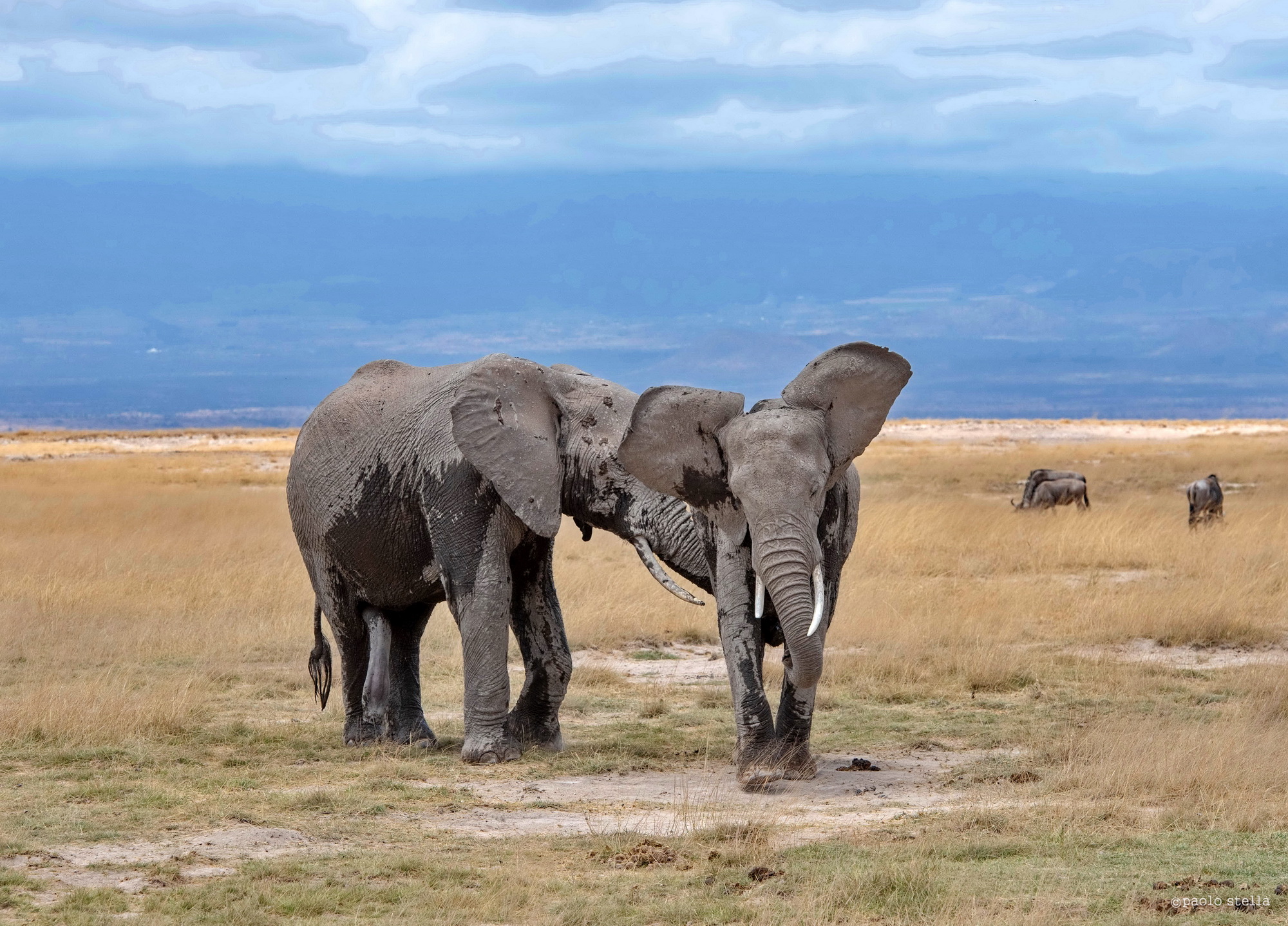 Don't be a rhythmic...