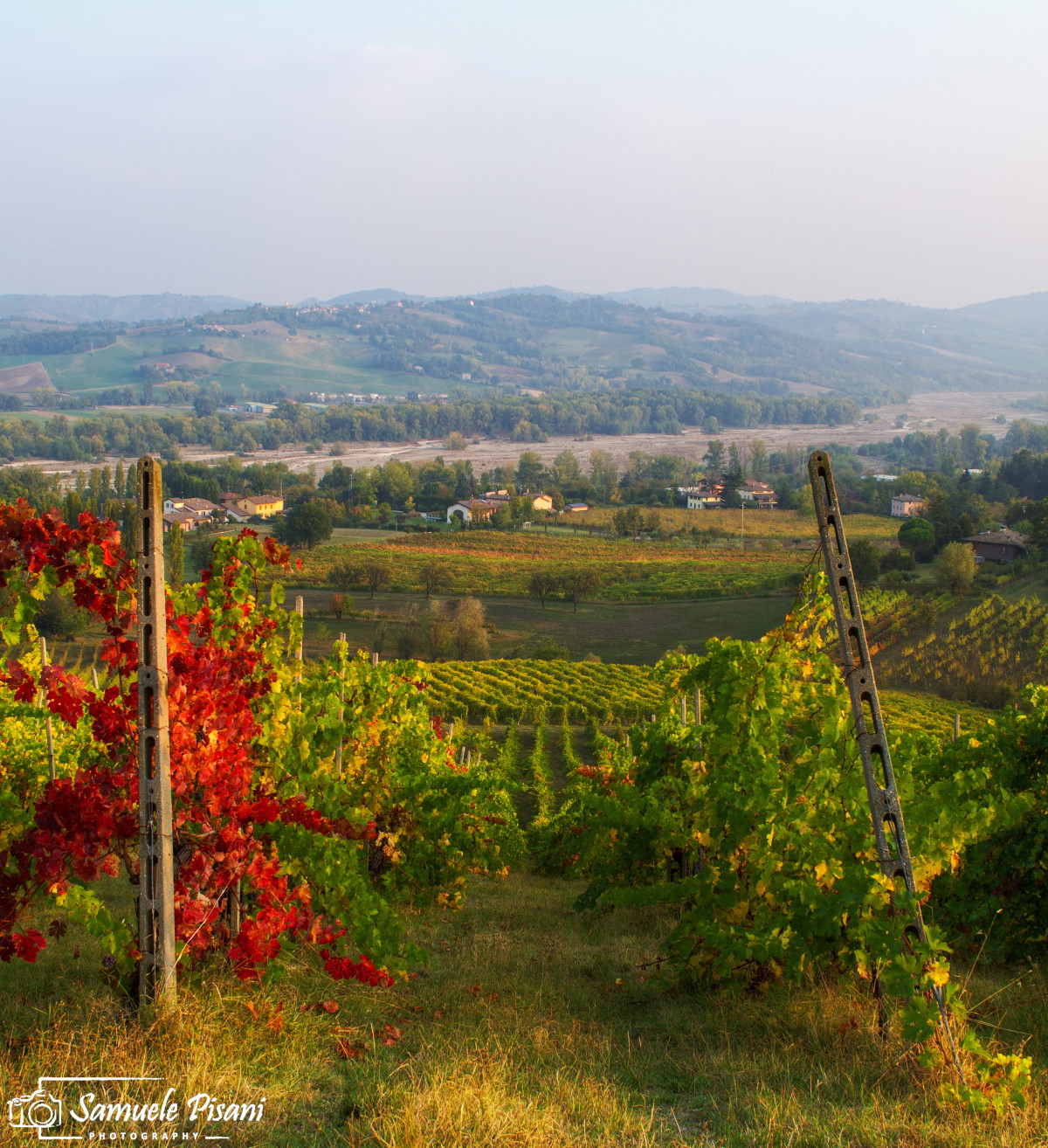 Autunno tra i vigneti