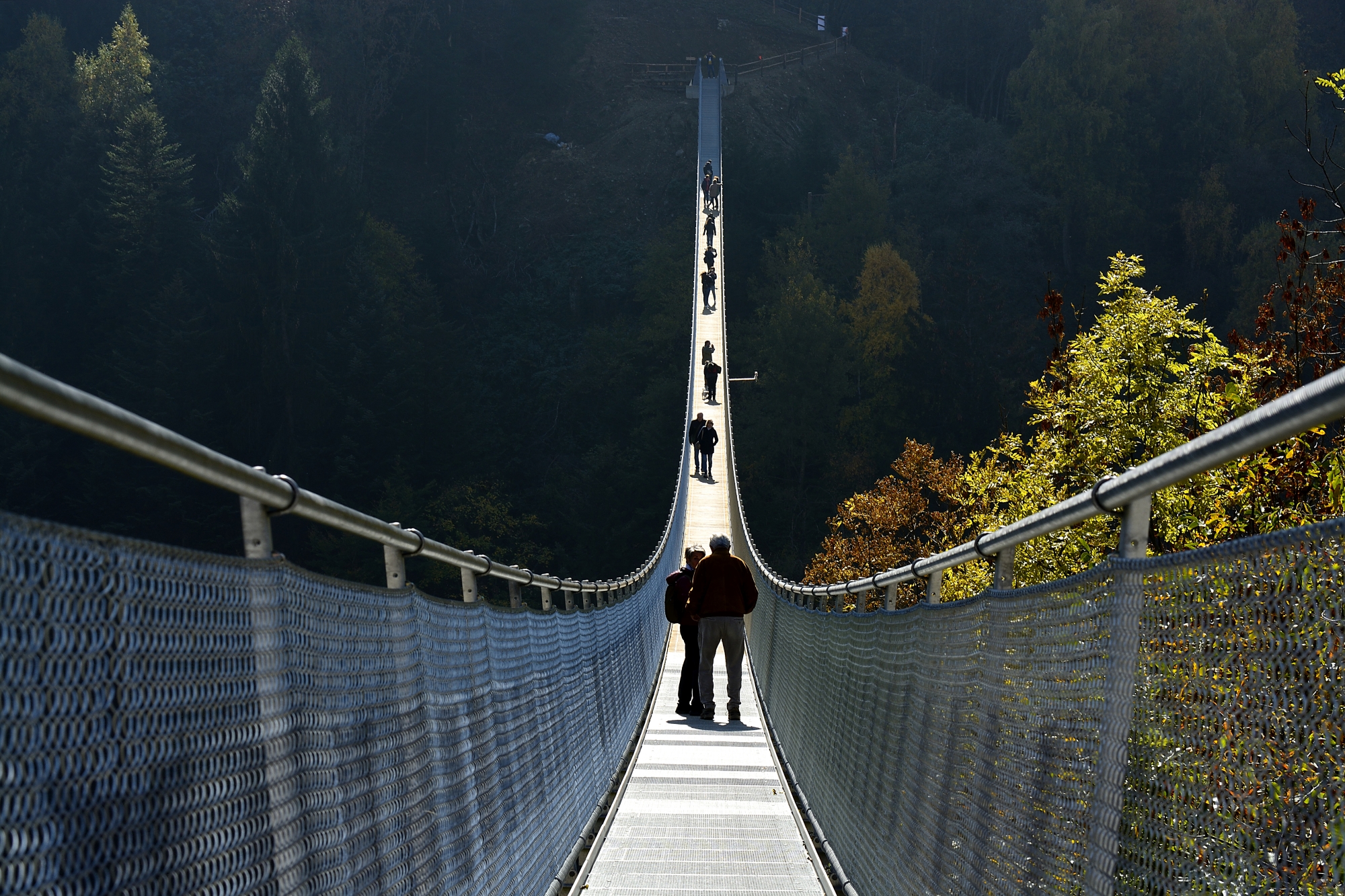 Suspended... with order