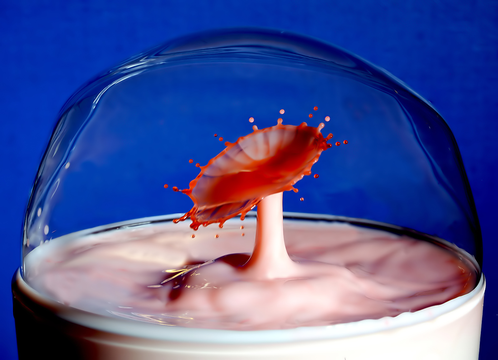 ombrello nella bolla di sapone