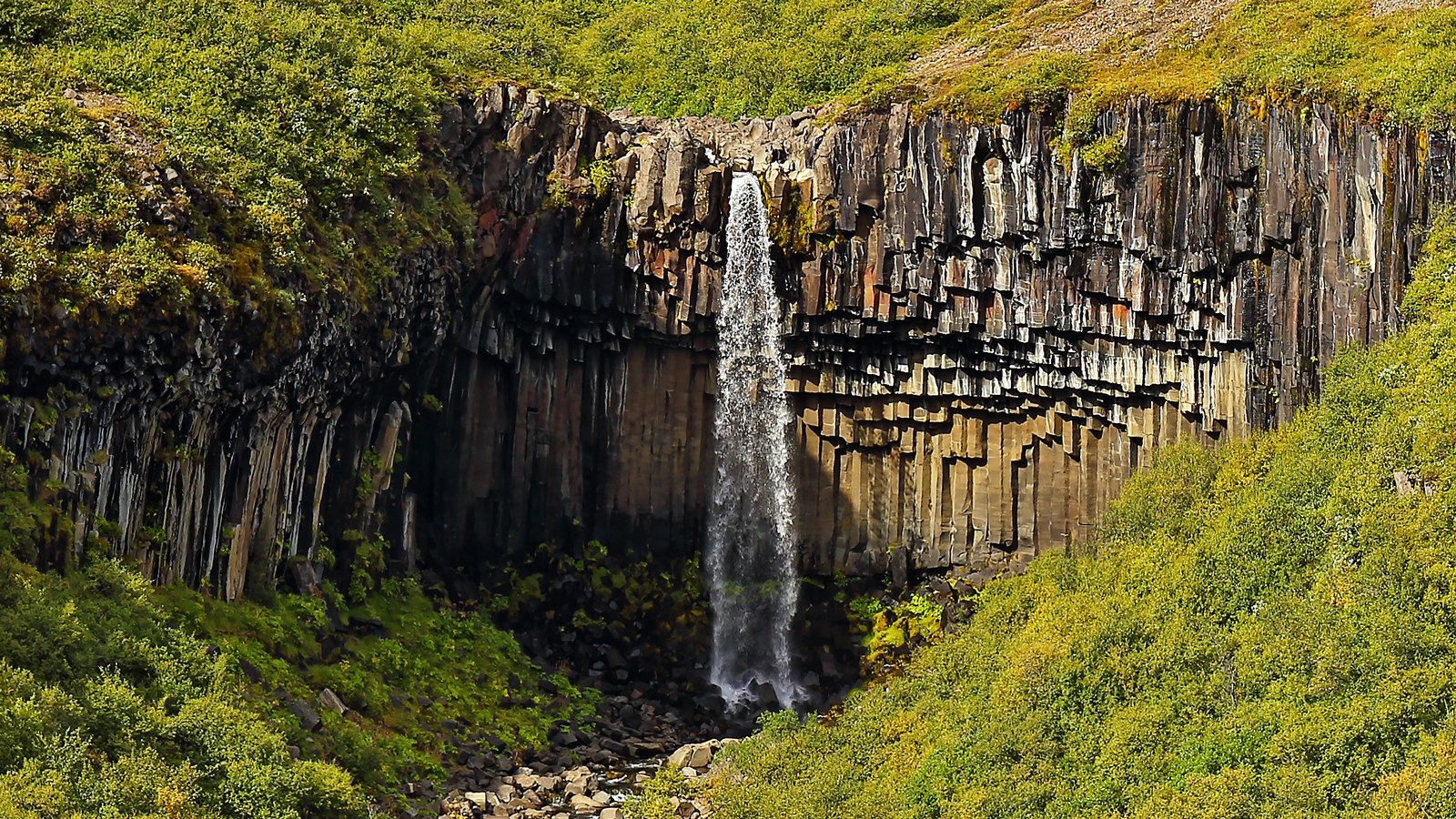 Svartifoss