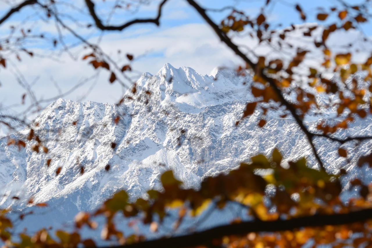 Autumn in South Tyrol