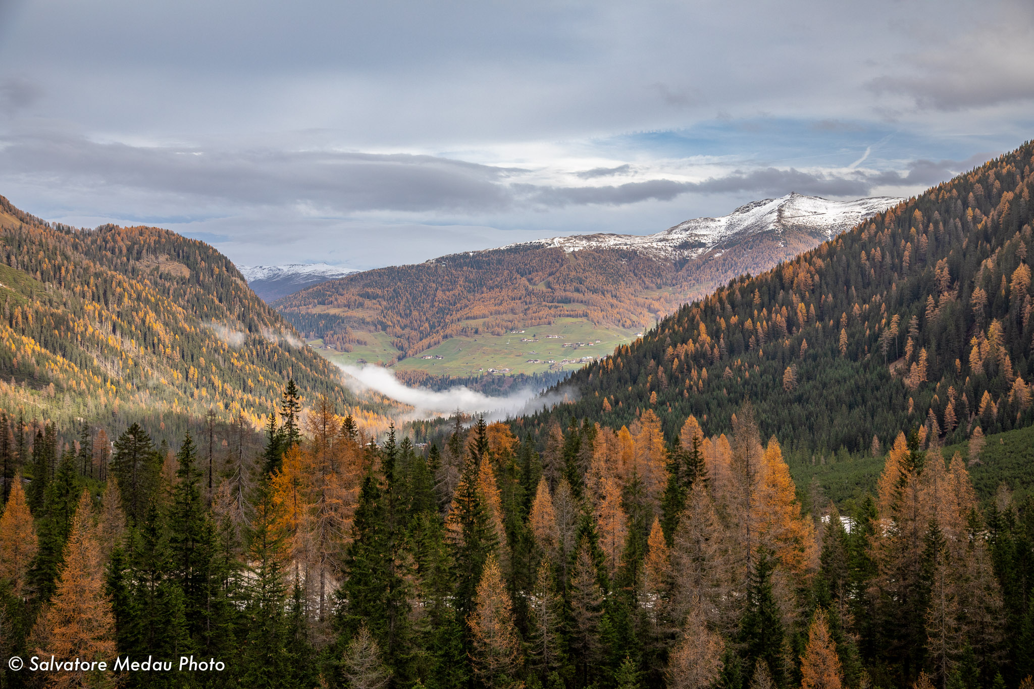 Foliage in Val Fiscalina