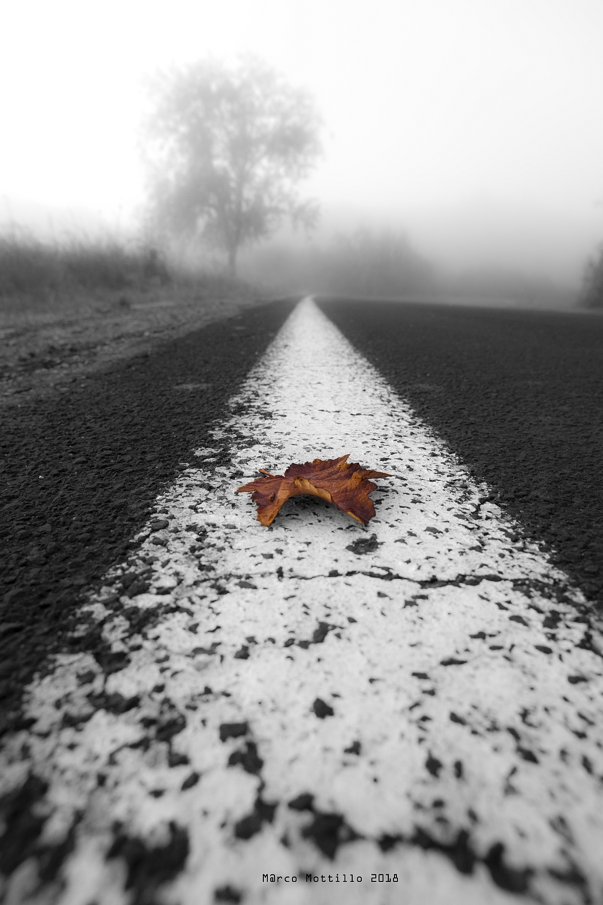 Each for their own way