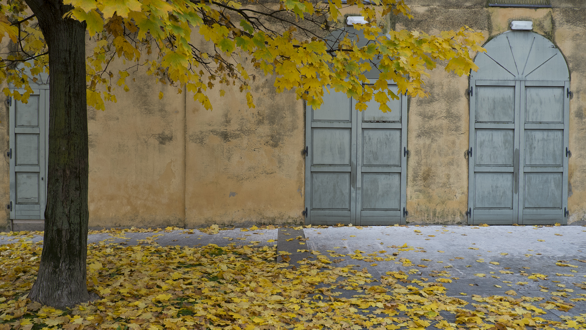 Lonigo (vi) Autumn 2012 the back of the municipal theater