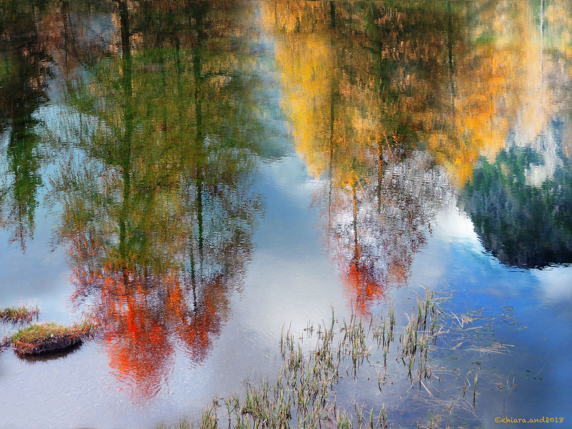 Pennellate di luce ...i colori dell' autunno