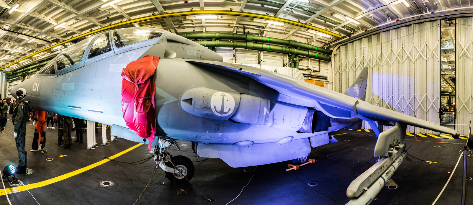 The old boy (MD AV8B Sea Harrier)