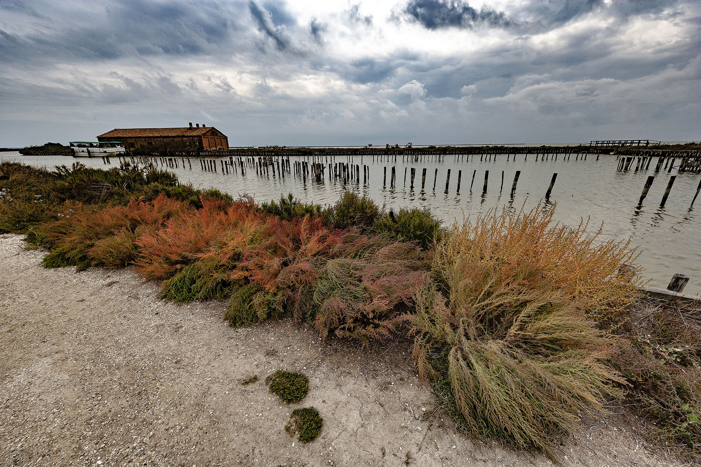 Delta del Po - Valli di Comacchio