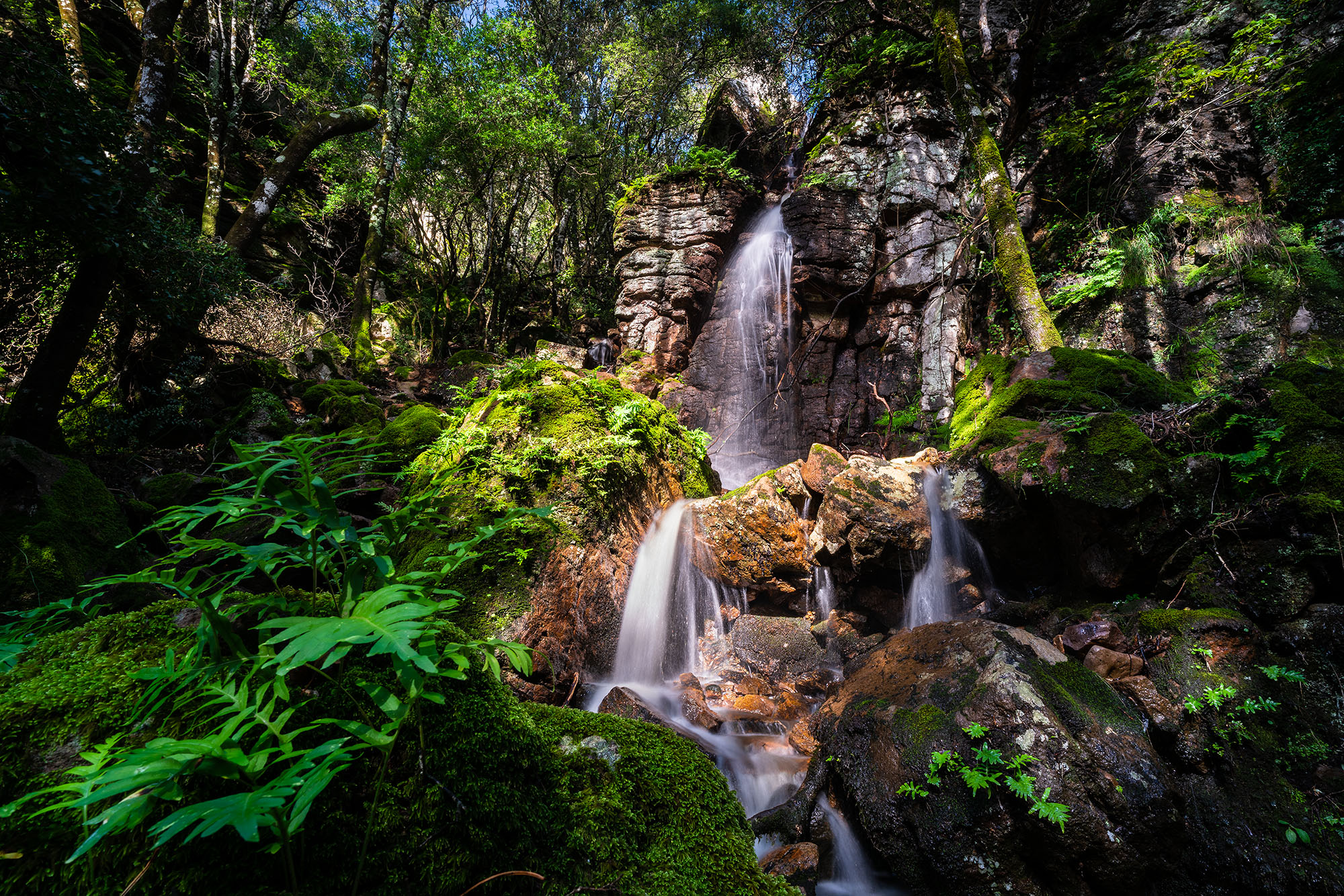 Bia Josso "Waterfall