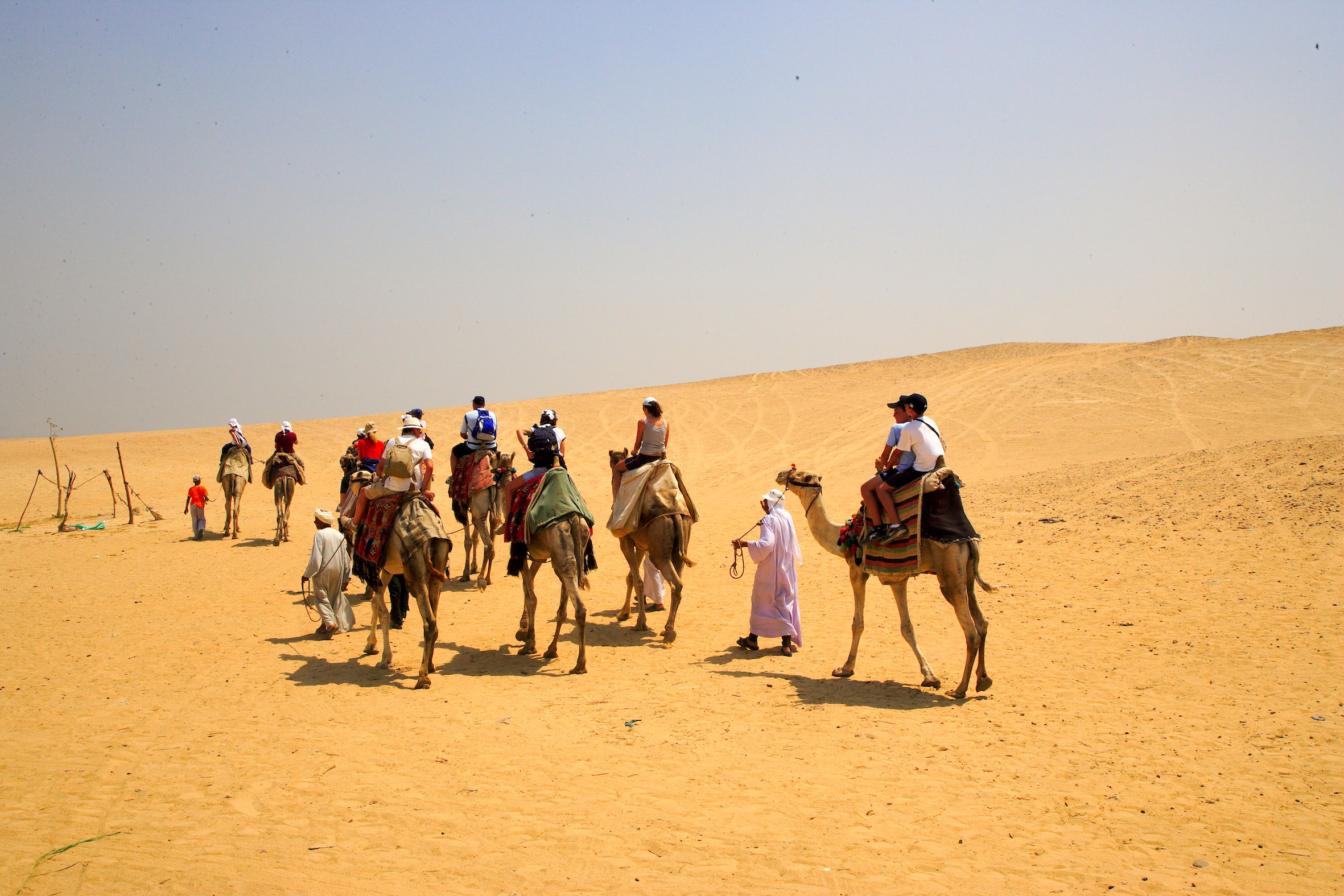 nel deserto di zoser