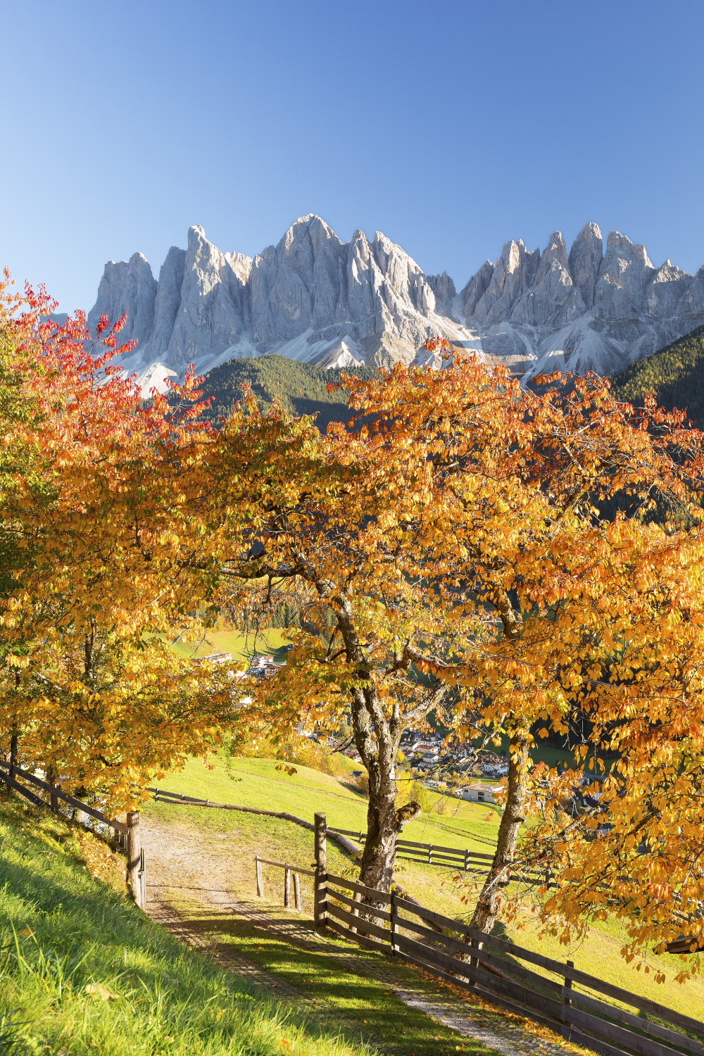 Autumn in Val di Funes