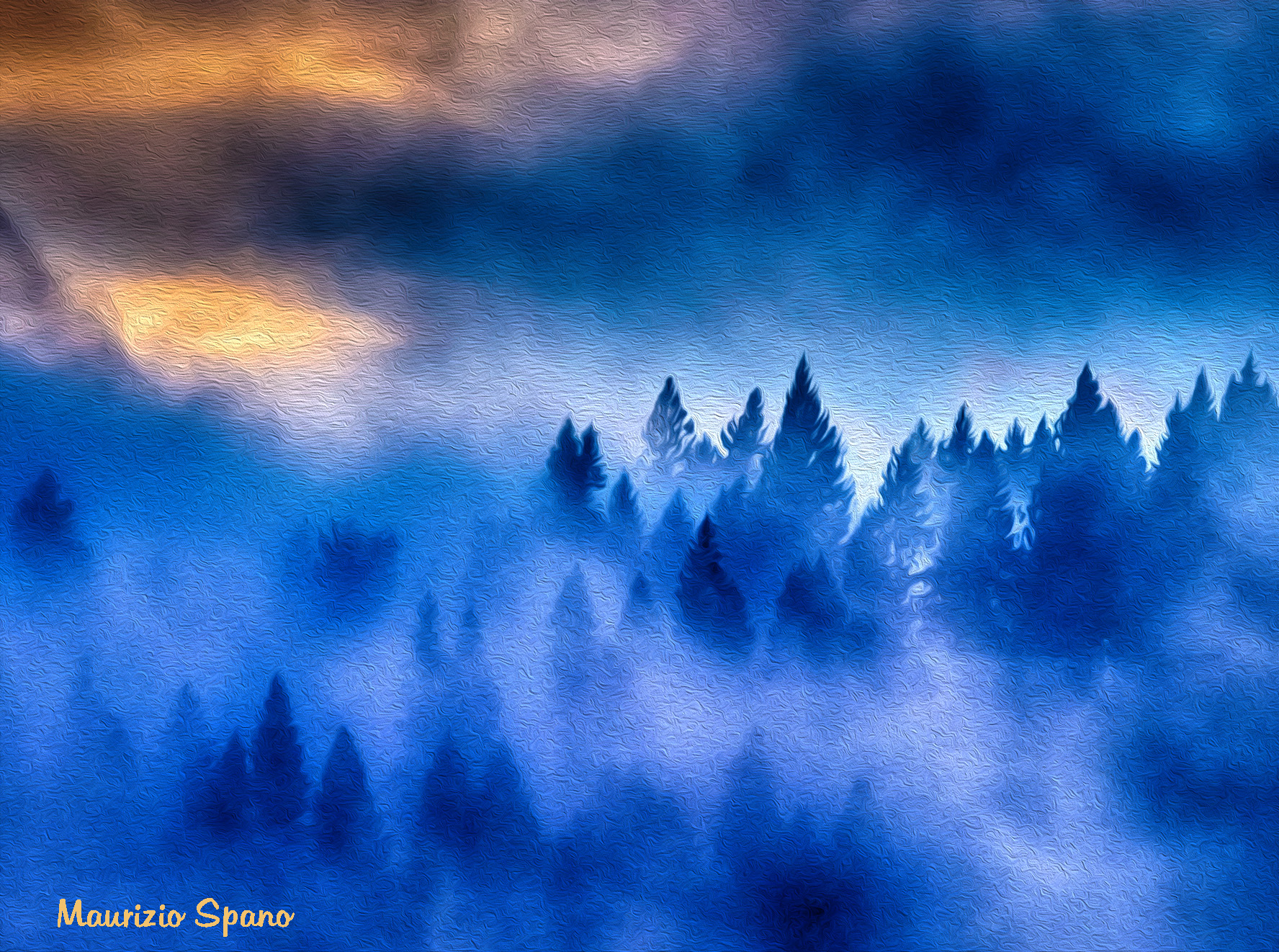 Il respiro del bosco magico...