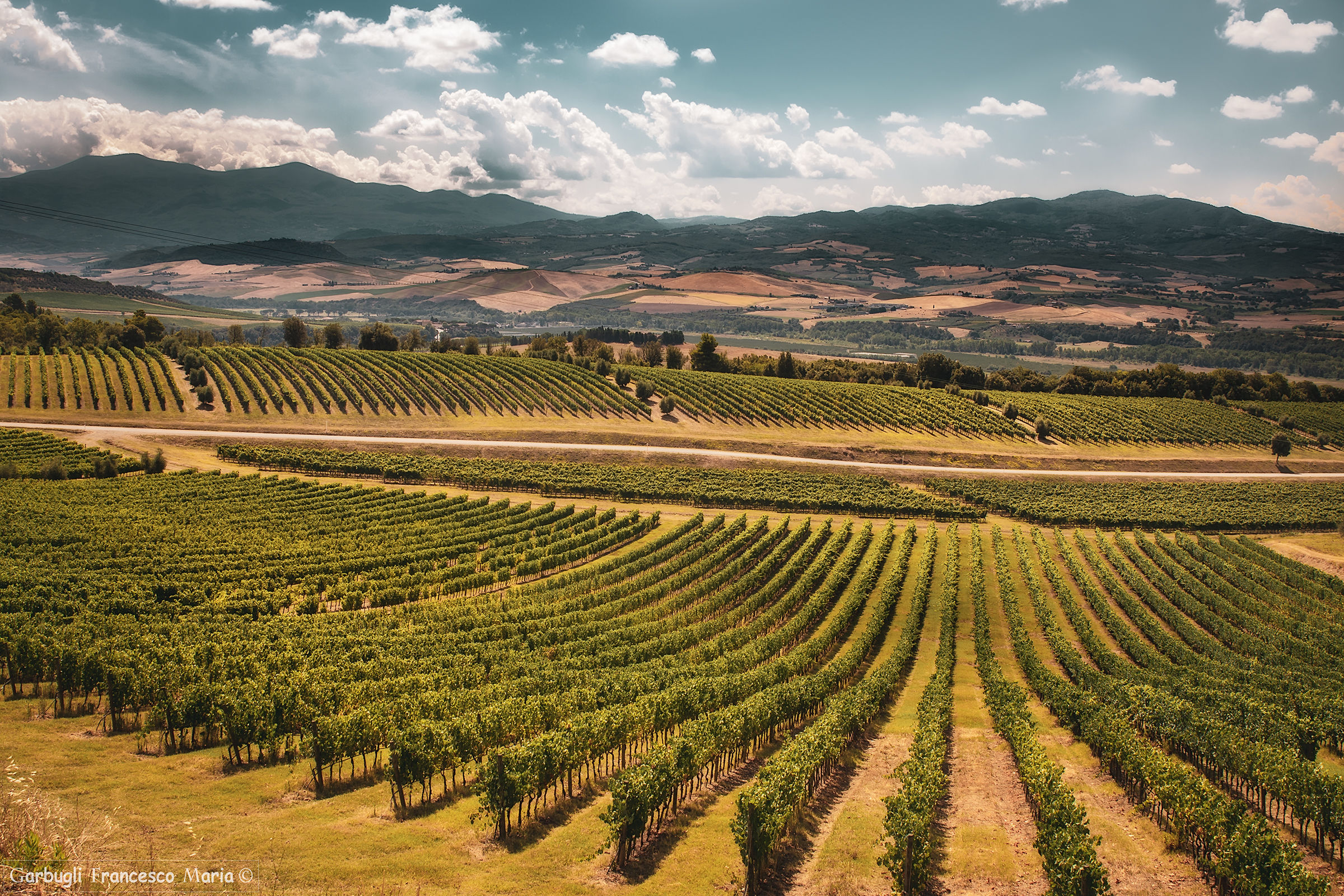 My mother, how much BRUNELLO......