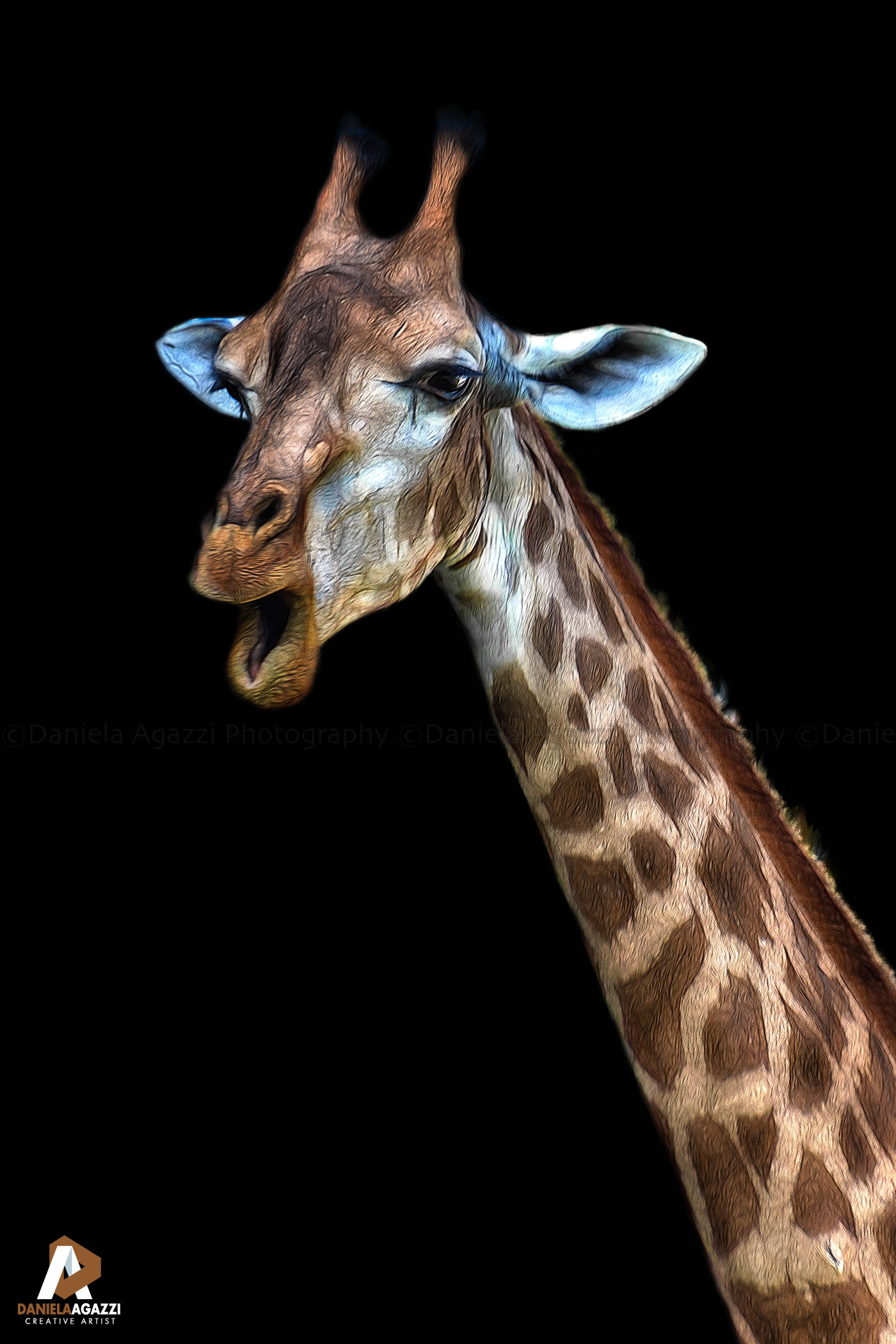 Una giraffa meravigliata