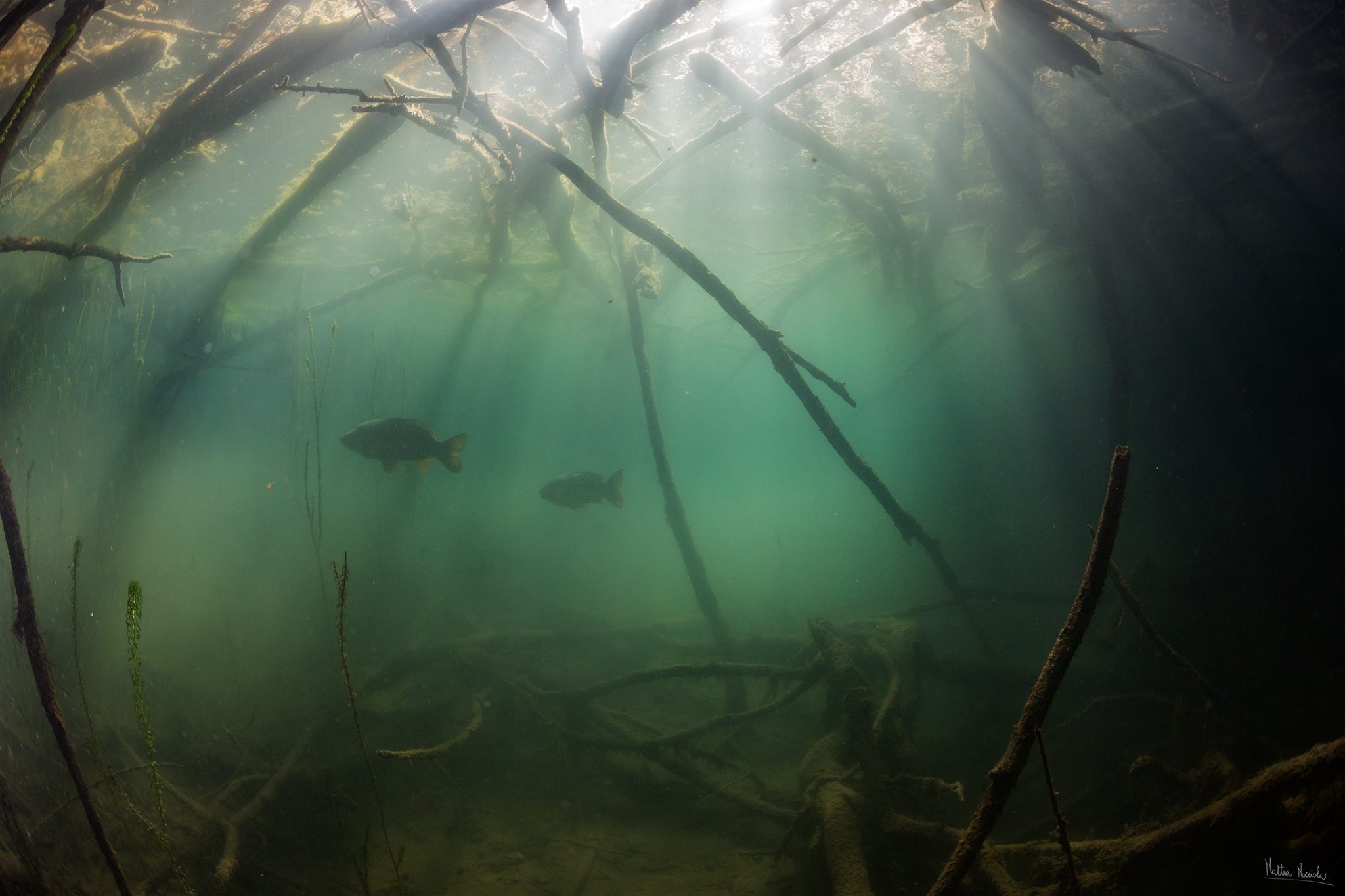 Luoghi di tranquillità